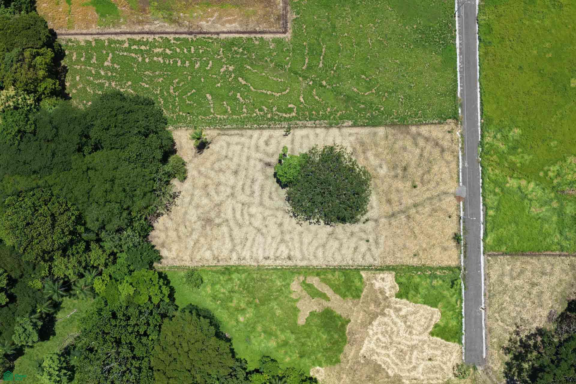  bed Land For Sale in Atenas, Alajuela - 1