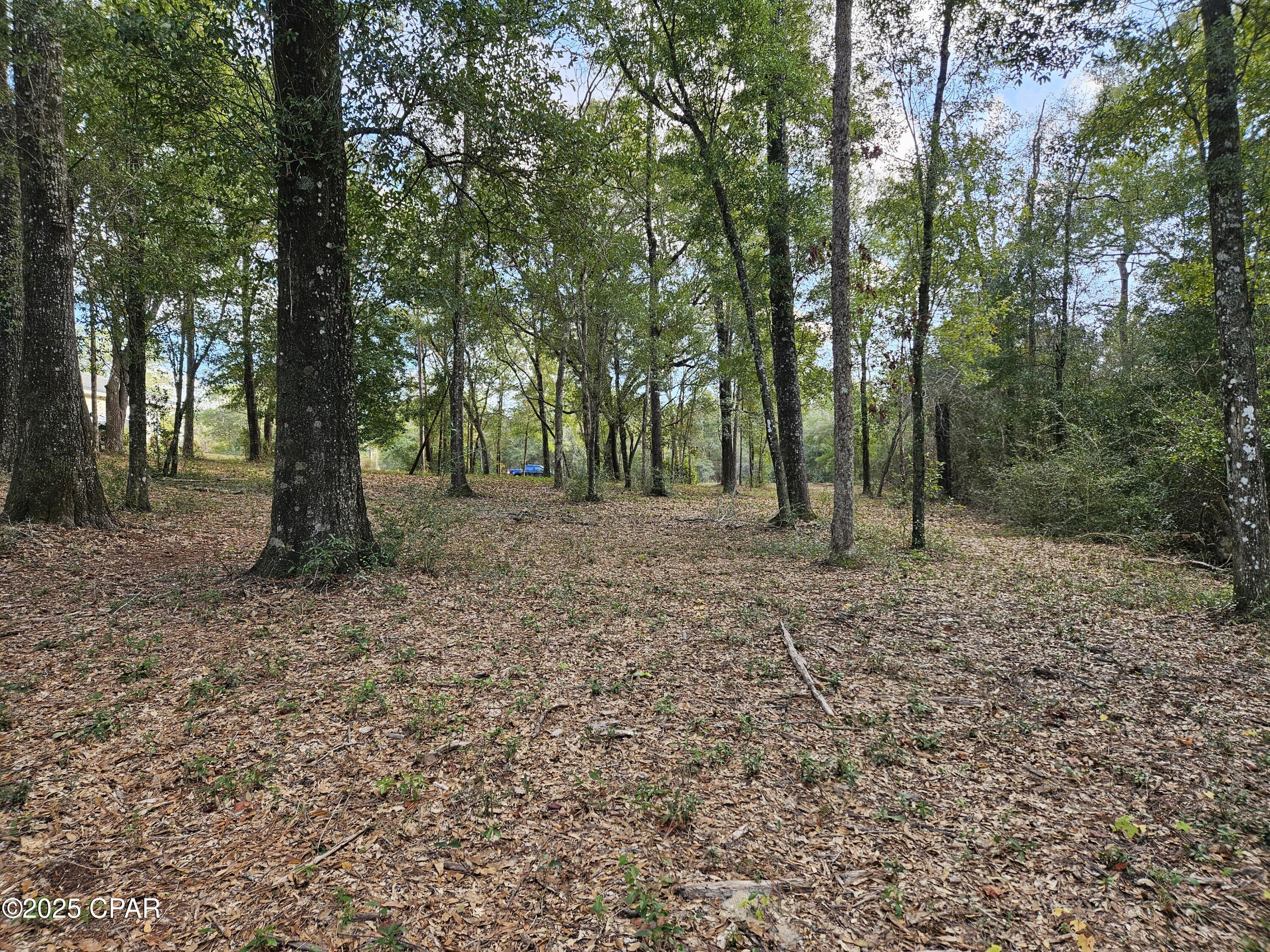 4th image of 4337 Leisure Lakes Dr, Chipley, FL 32428 | MLS# 793071