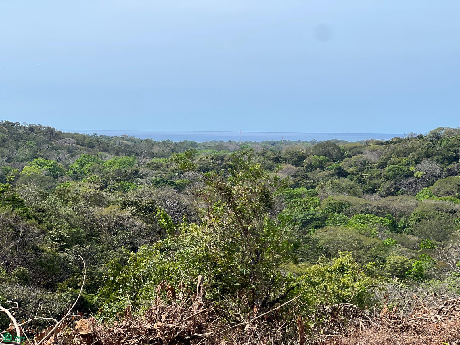  bed Land For Sale in Santa Cruz, Guanacaste - 1