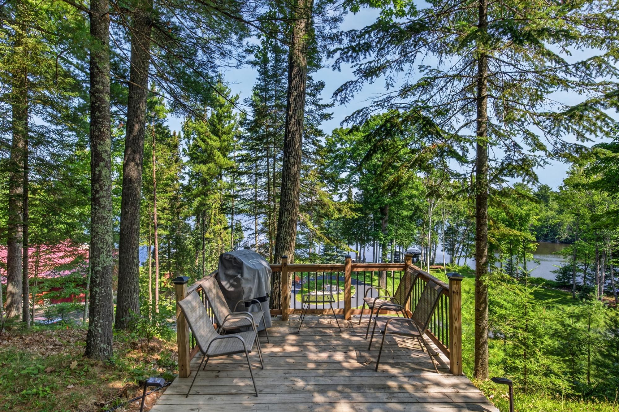 Island Lake Property 12366 Fitzgerald Ln Photo 39
