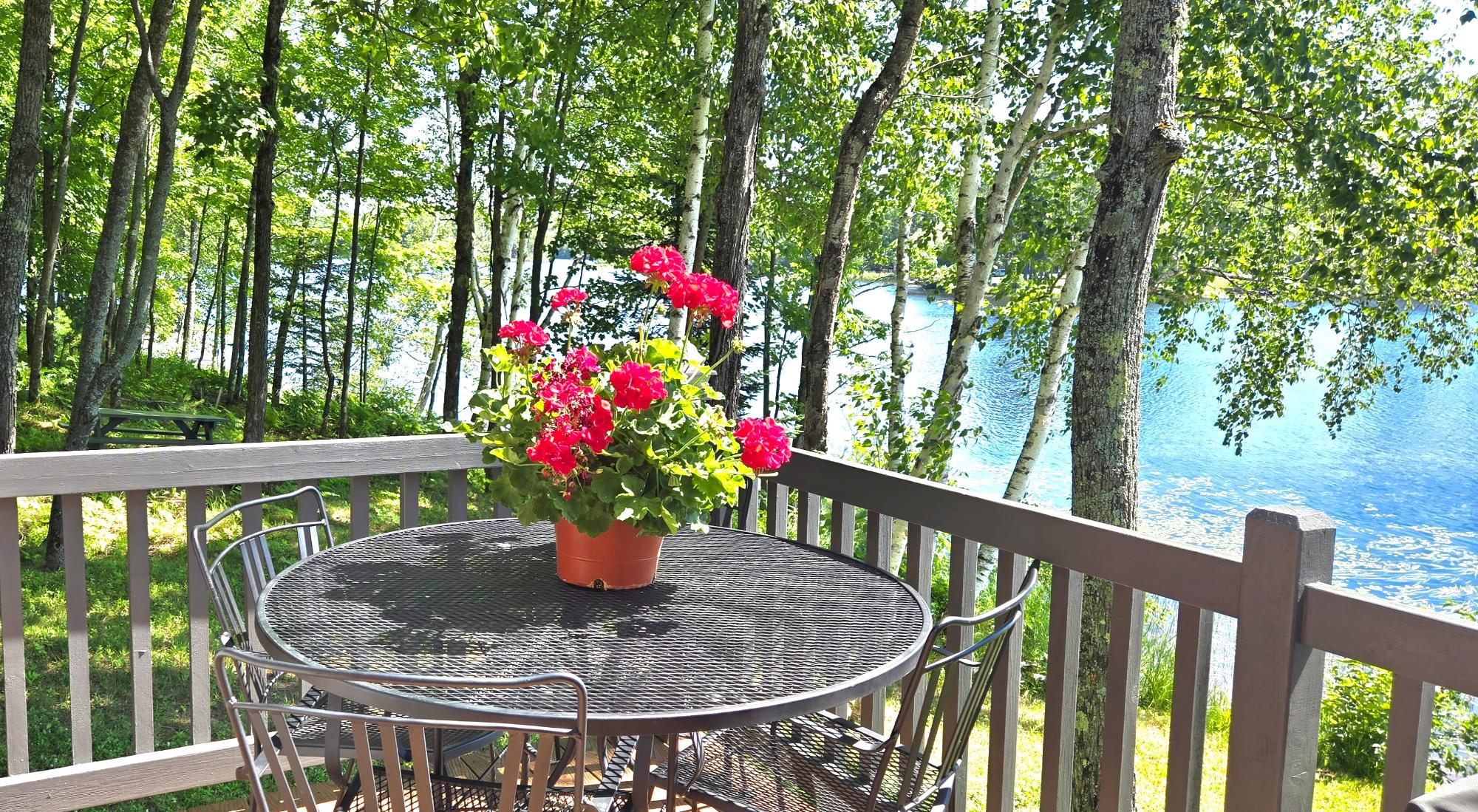 Oxbow Lake Property 8114 Ridge Rd Photo 8