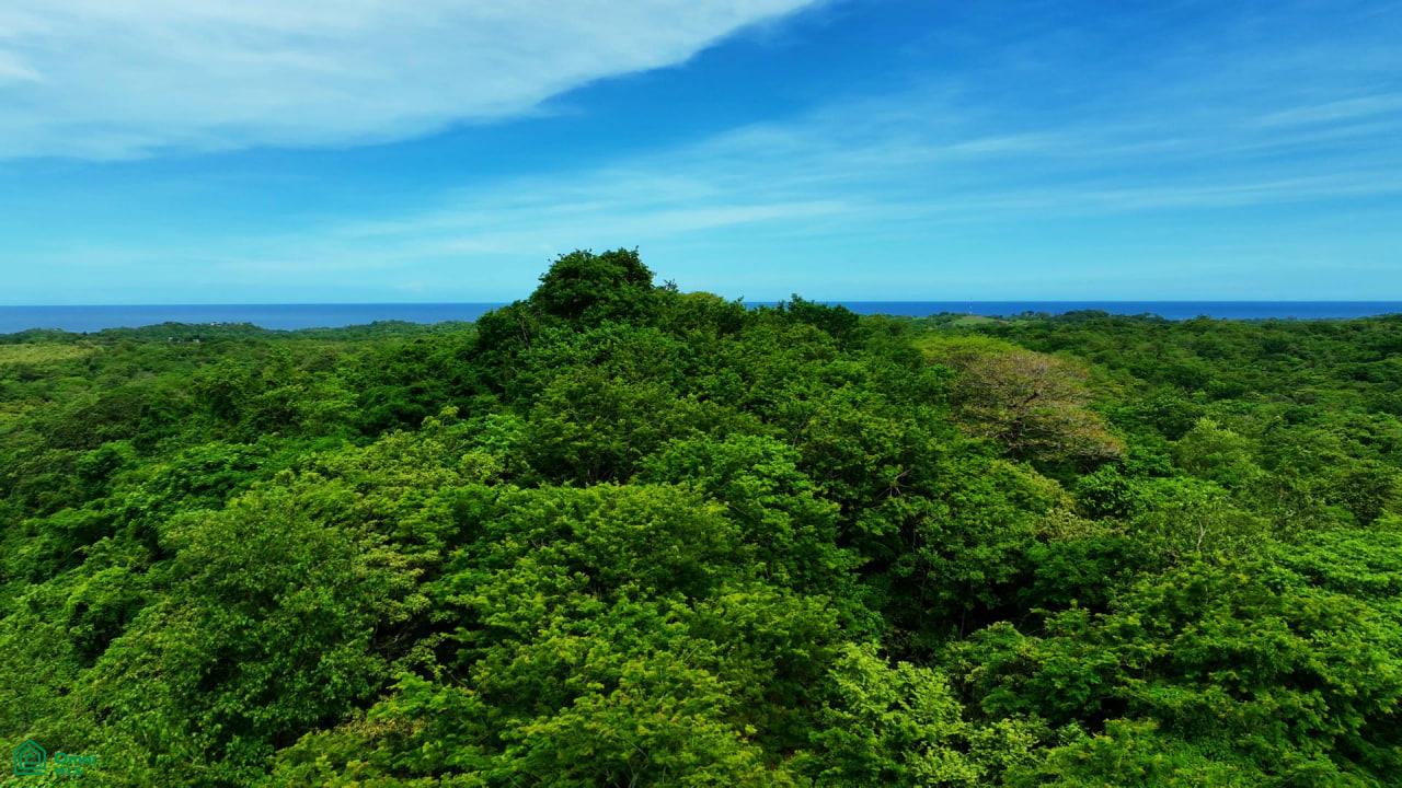  bed Land For Sale in Santa Cruz, Guanacaste - 1