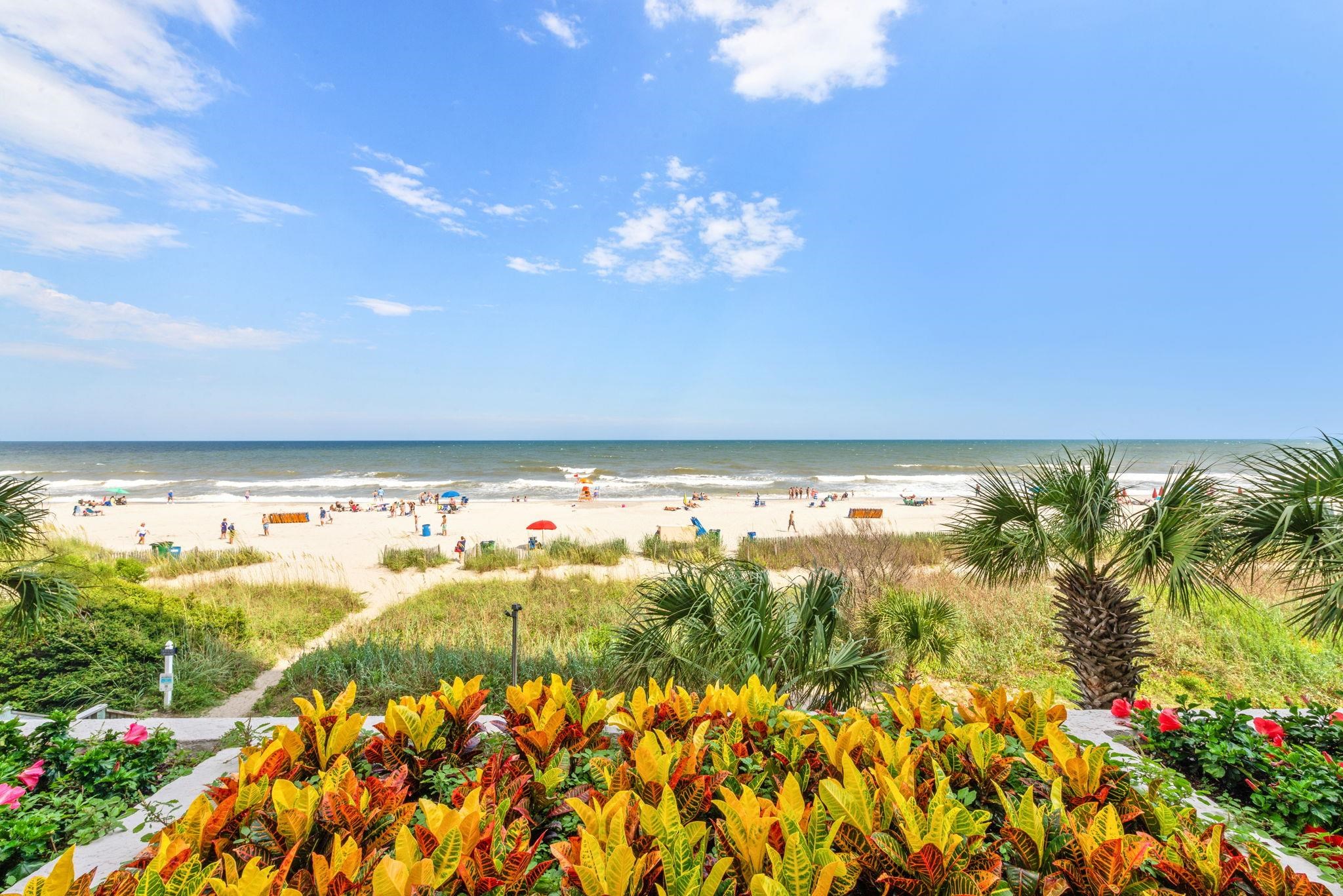 2401 Ocean Blvd. 