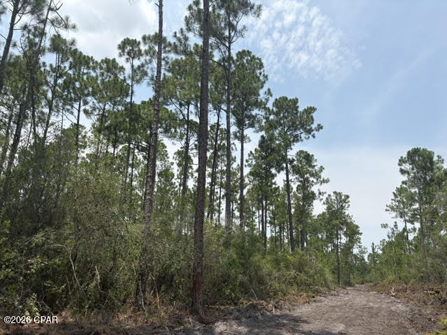 1st image of 22563 Nw Lake Mckenzie Blvd, Altha, FL 32421 | MLS# 793242