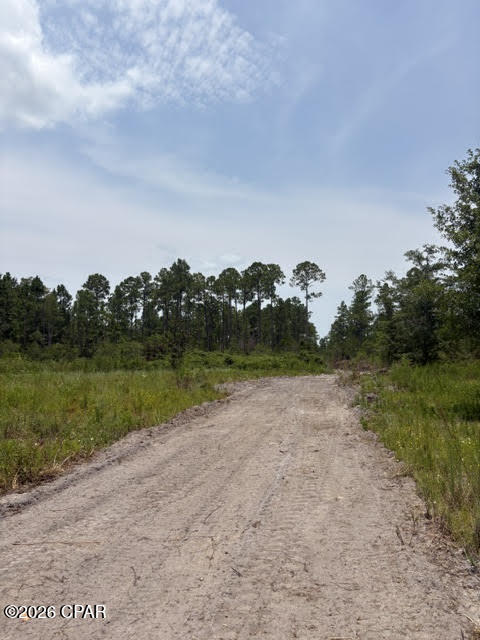 2nd image of 22563 Nw Lake Mckenzie Blvd, Altha, FL 32421 | MLS# 793242