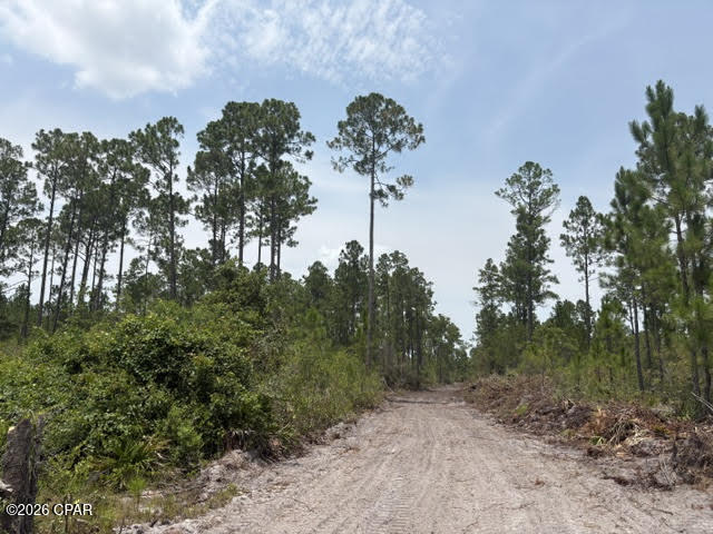 5th image of 22563 Nw Lake Mckenzie Blvd, Altha, FL 32421 | MLS# 793242