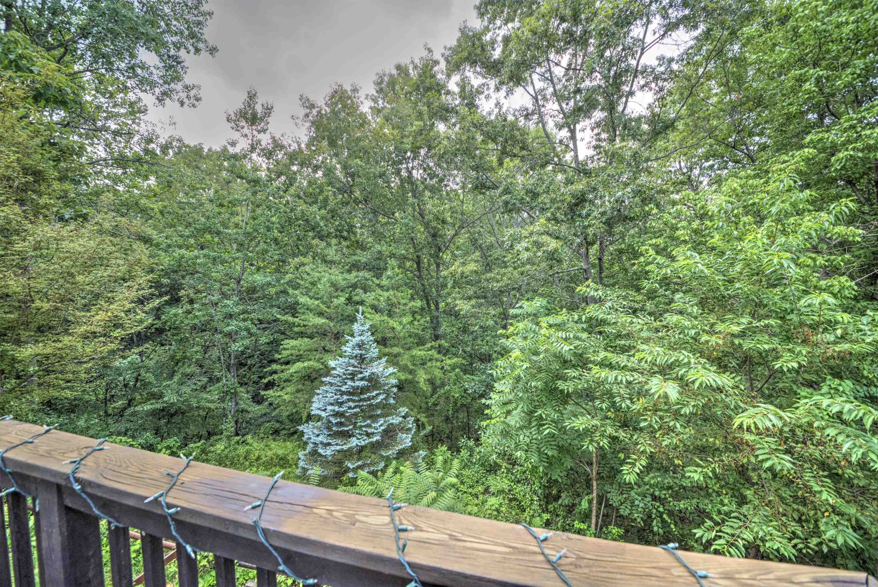 183 Idlewood Blvd