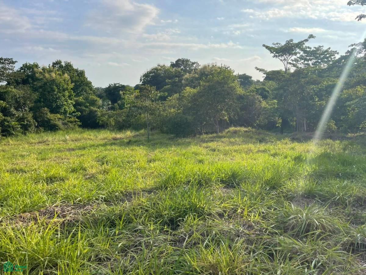 0 bed Land For Sale in Parrita, Puntarenas - 1