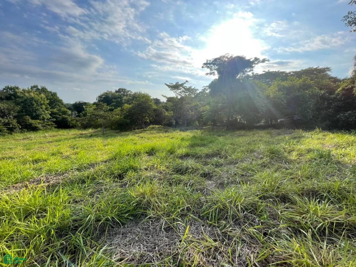 0 bed Land For Sale in Parrita, Puntarenas - 1