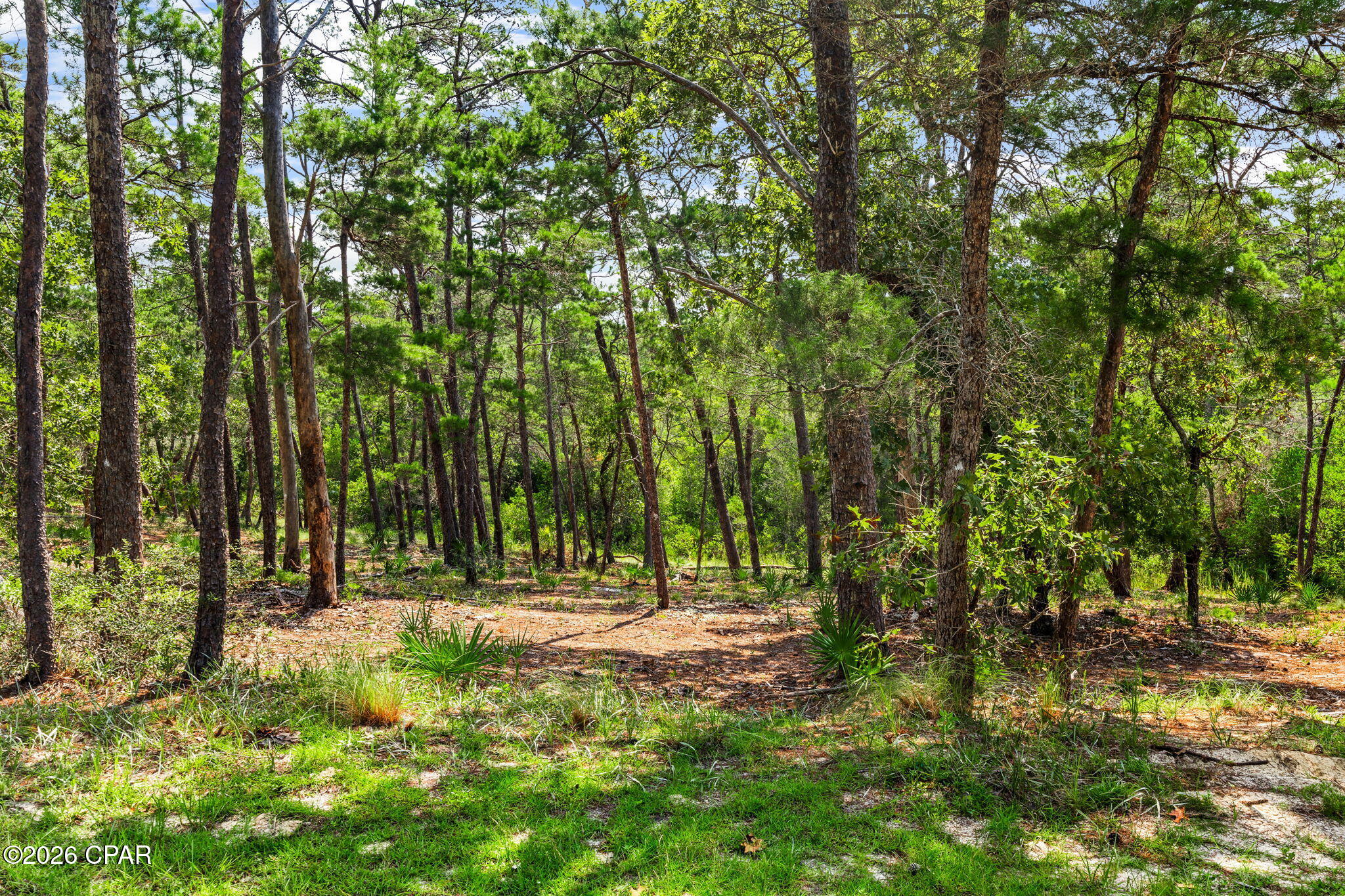 1745 Lost Cove Lane, Panama City Beach, FL 32413 thumbnail, photo 14 of 56