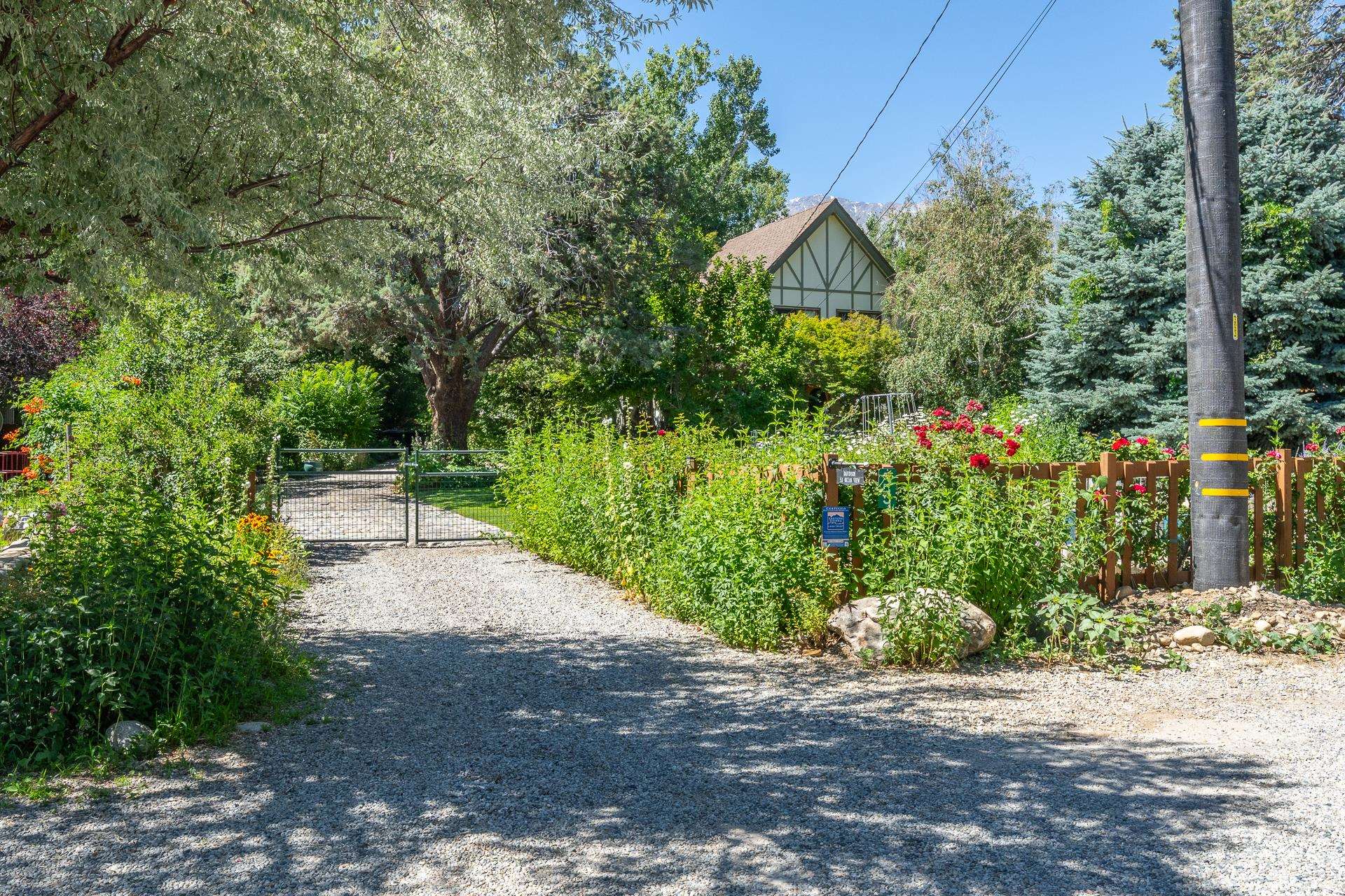 Property Photo 38