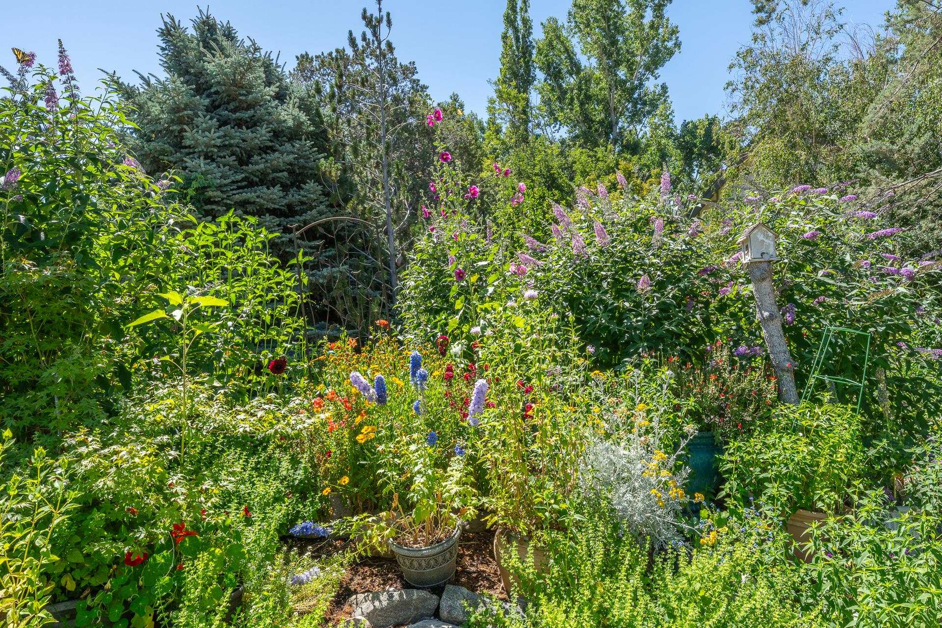 Property Photo 45