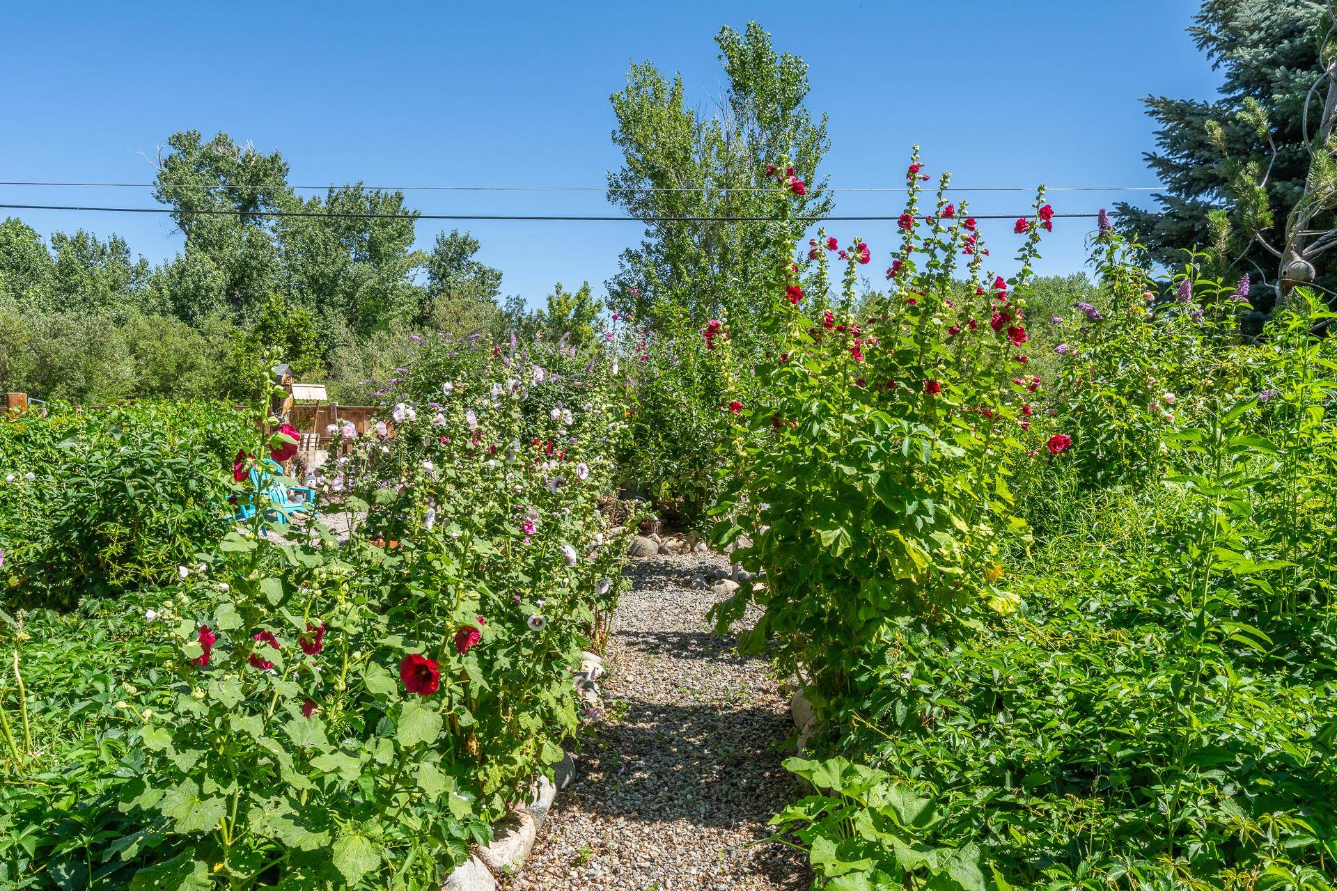 Property Photo 46