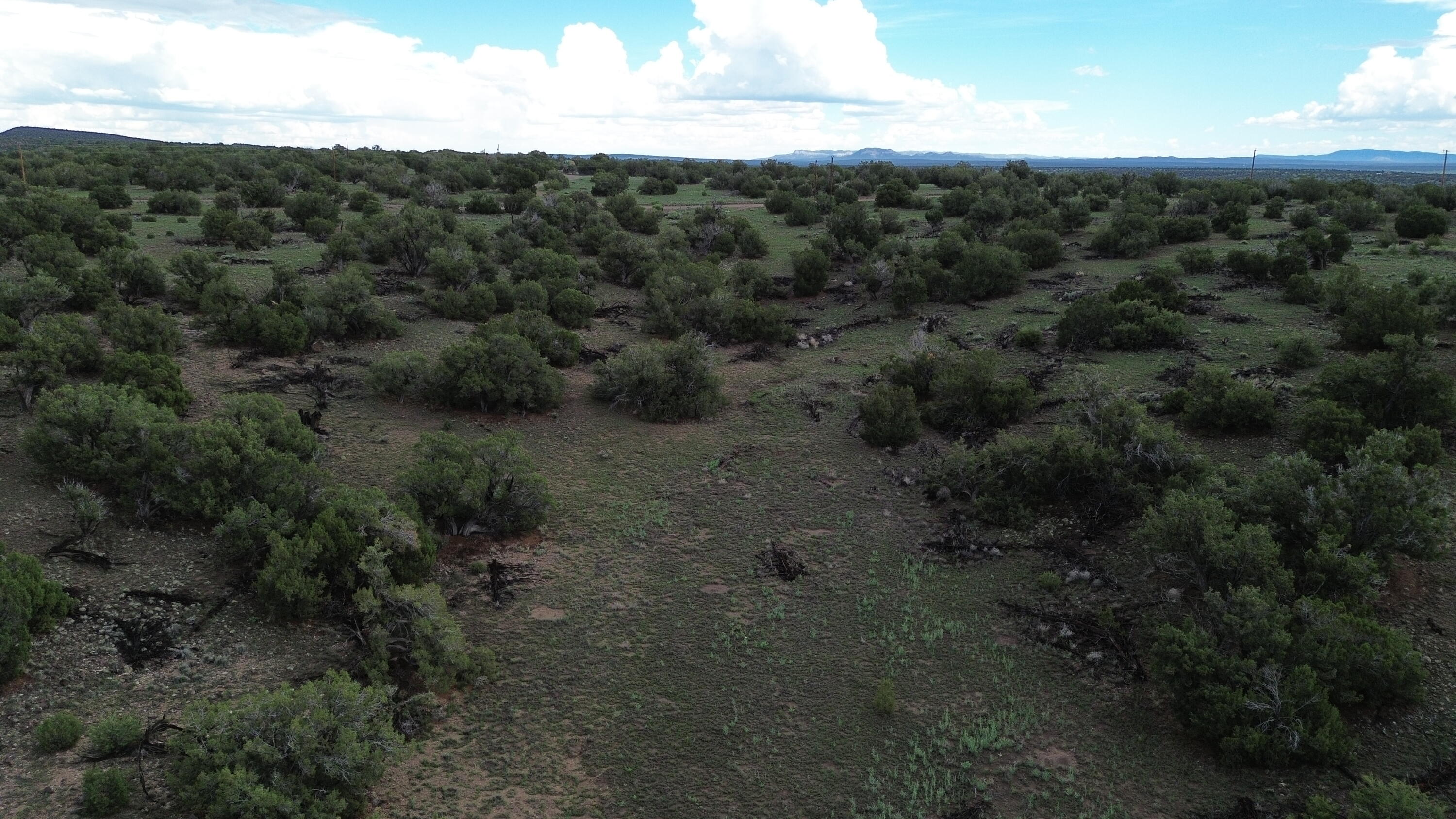 3rd image of Lot 78 Big Chief Rd, Quemado, NM 87829 | MLS# 1108337