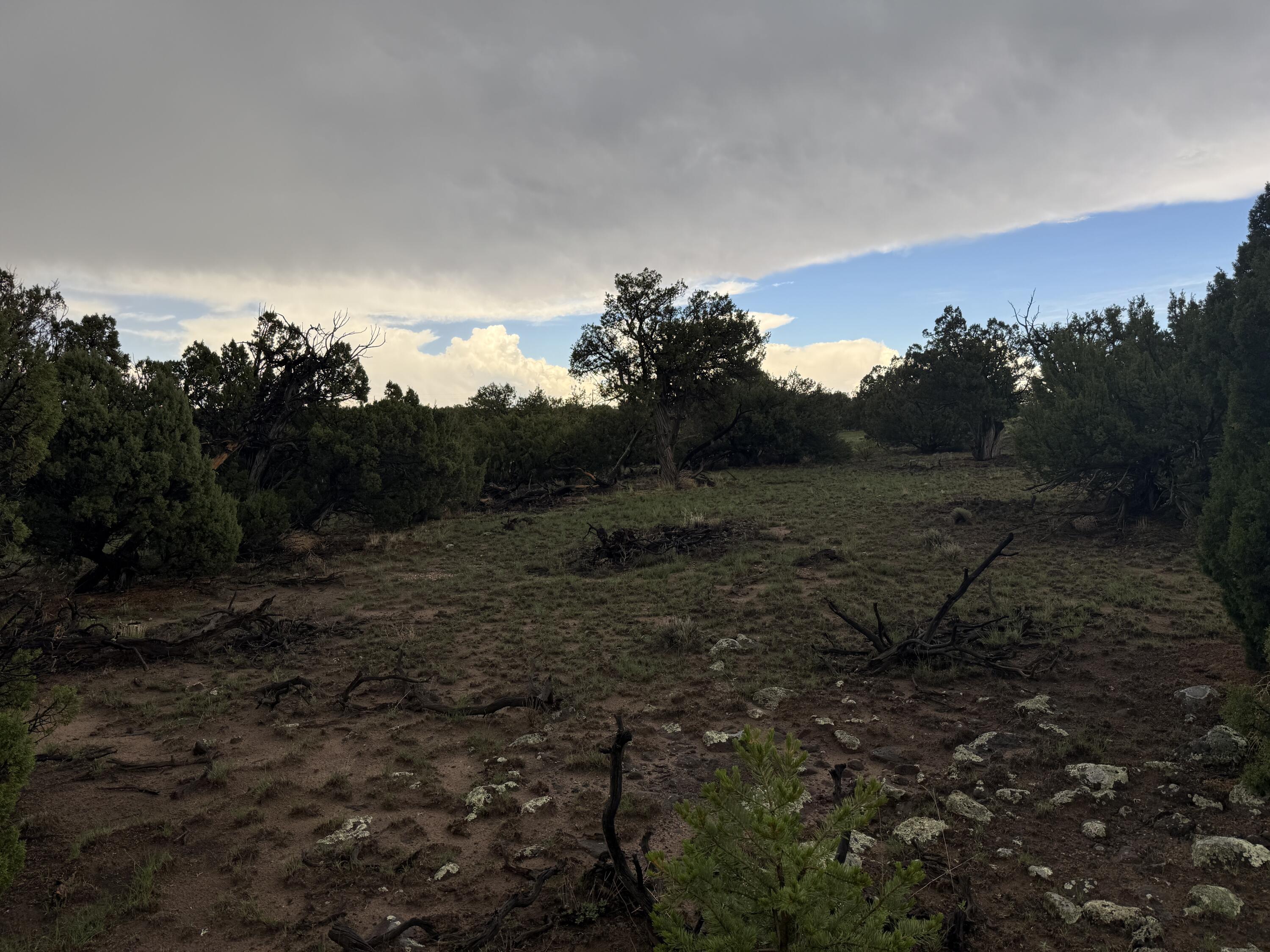 LOT 78 BIG CHIEF RD 