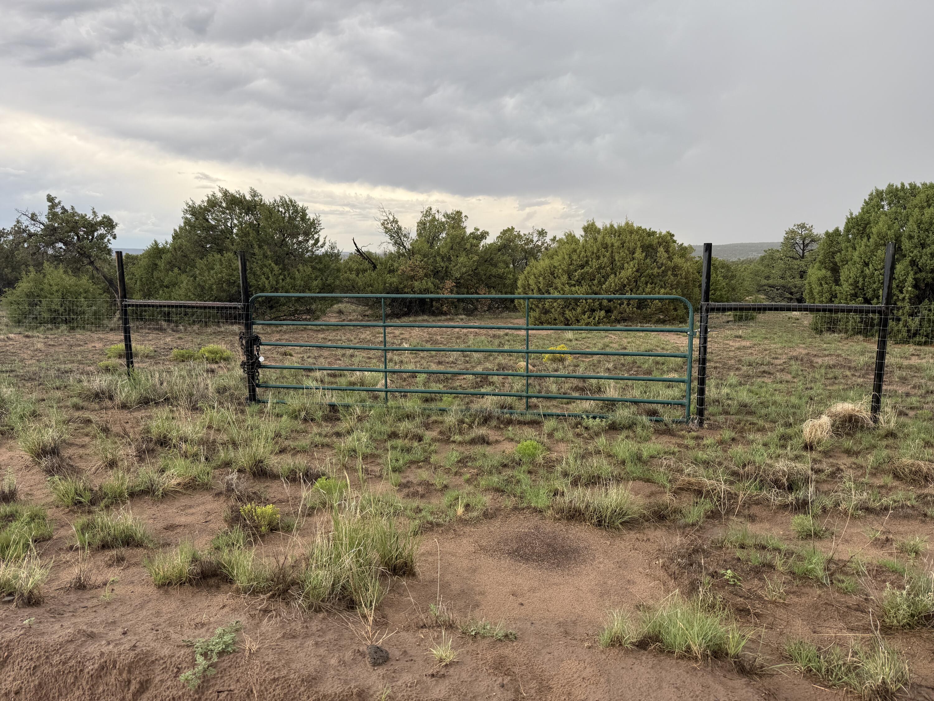 1st image of Lot 47 Running Bear Blvd, Quemado, NM 87829 | MLS# 1108341