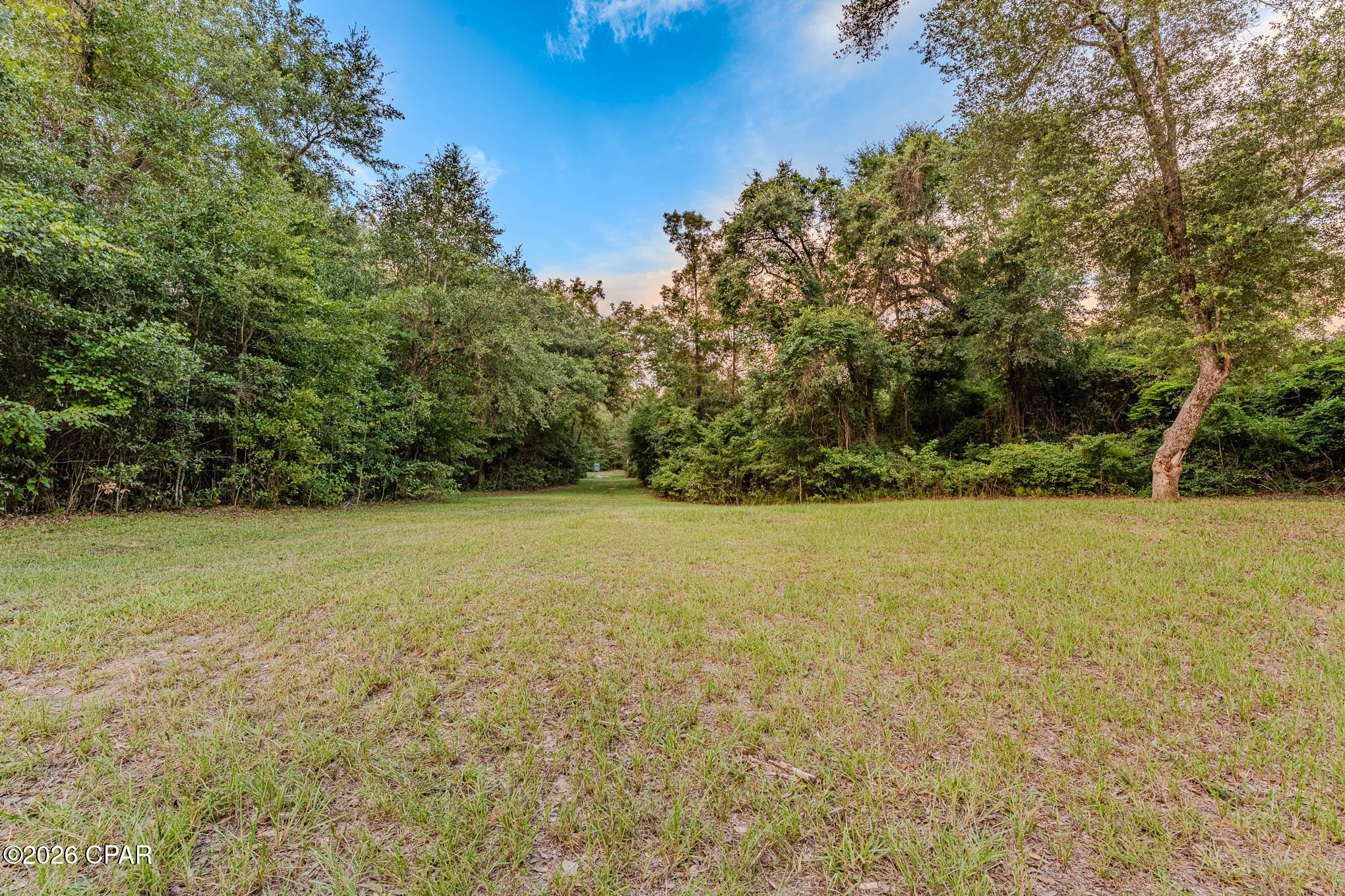 4th image of Tbd Highway 90, Grand Ridge, FL 32442 | MLS# 793467