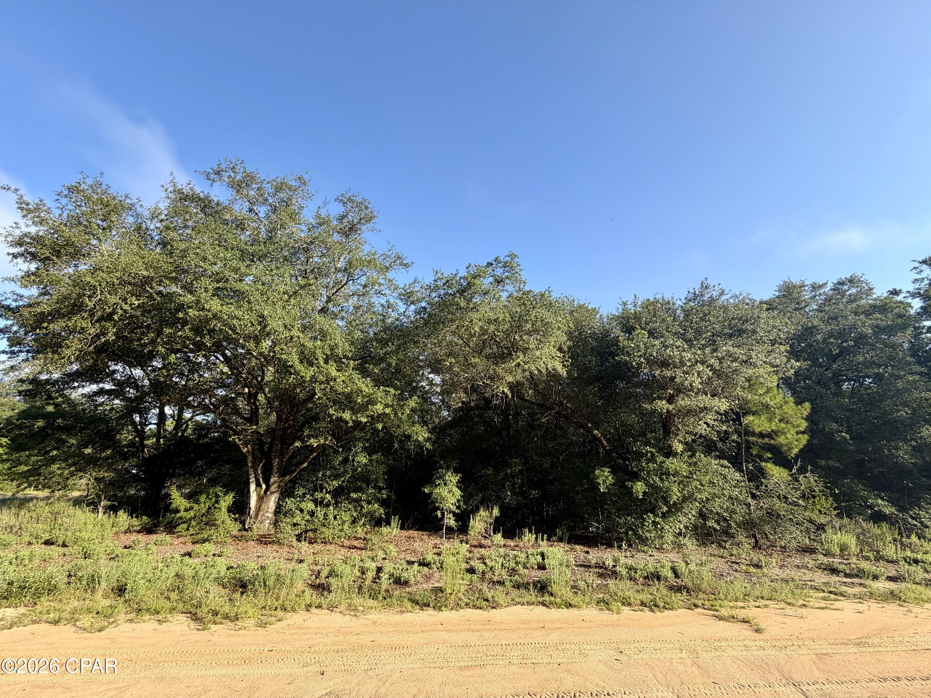 Photo 3 of Sale Pending at Lot 16 Osceola Dr, Marianna, FL 32448 | MLS# 793490 | Listing updated on 2026-09-18
