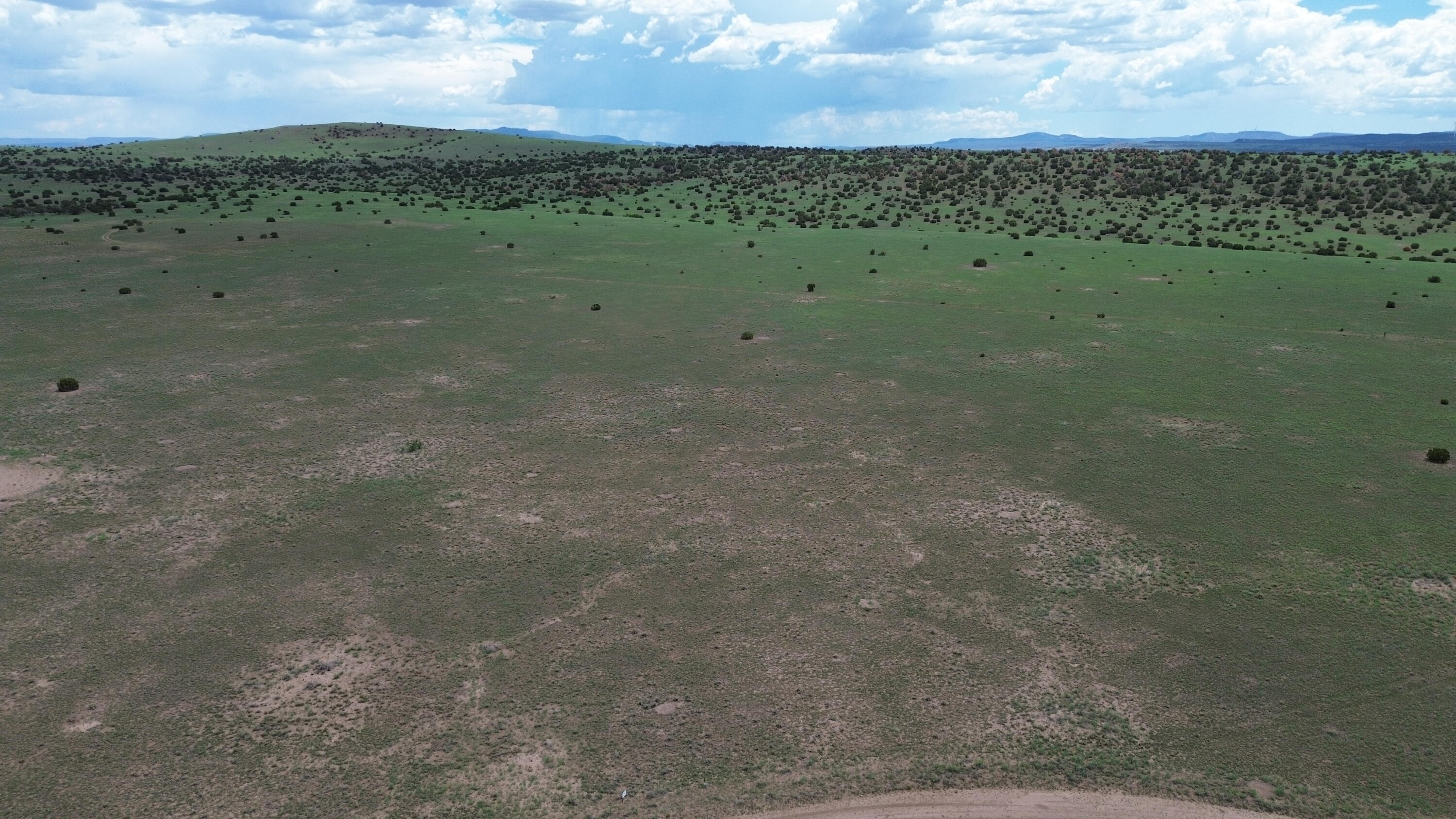 LOT 169 DEER CIRCLE 