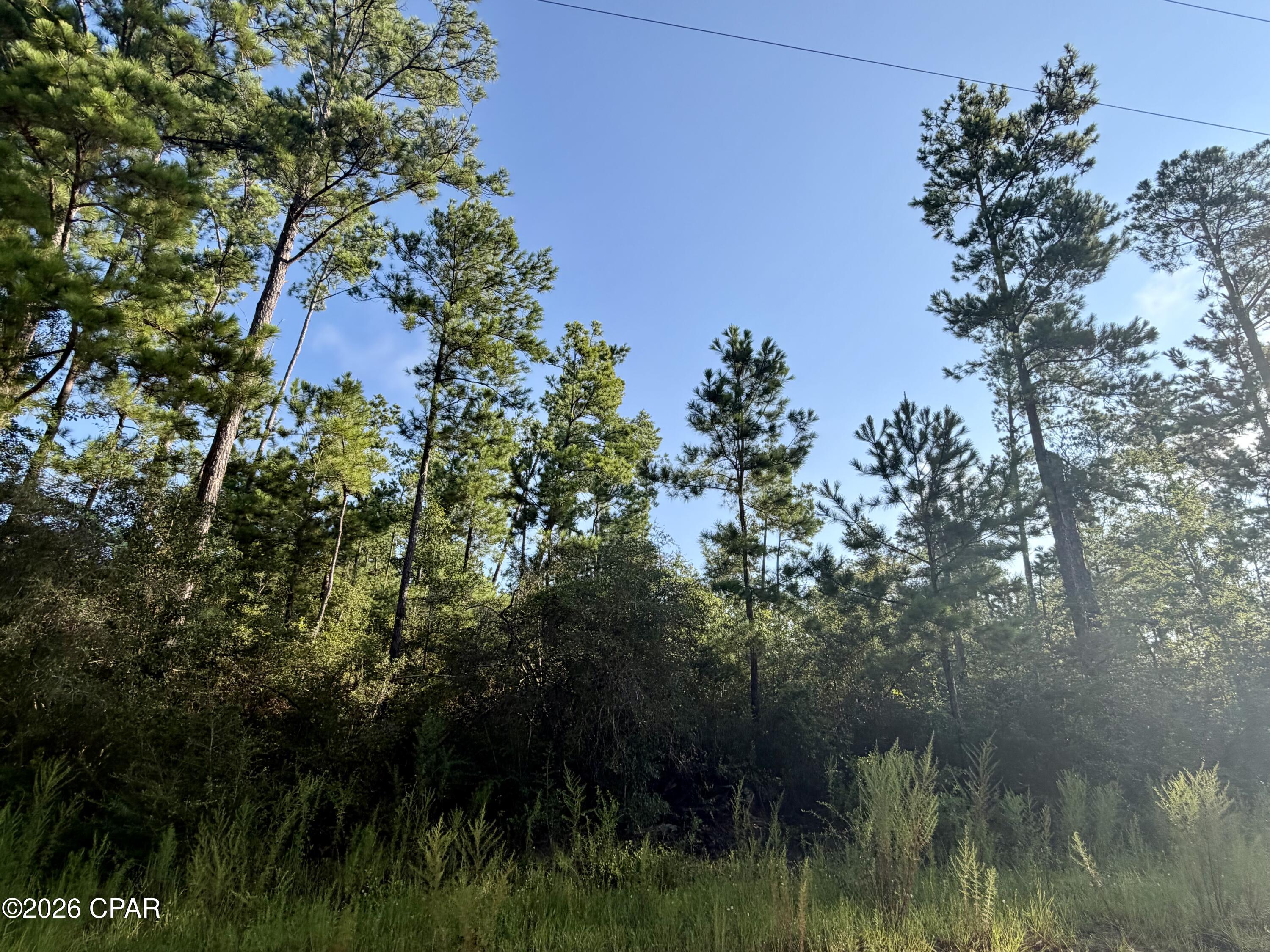 1st image of Lot 4 Black Hills St, Alford, FL 32420 | MLS# 793497