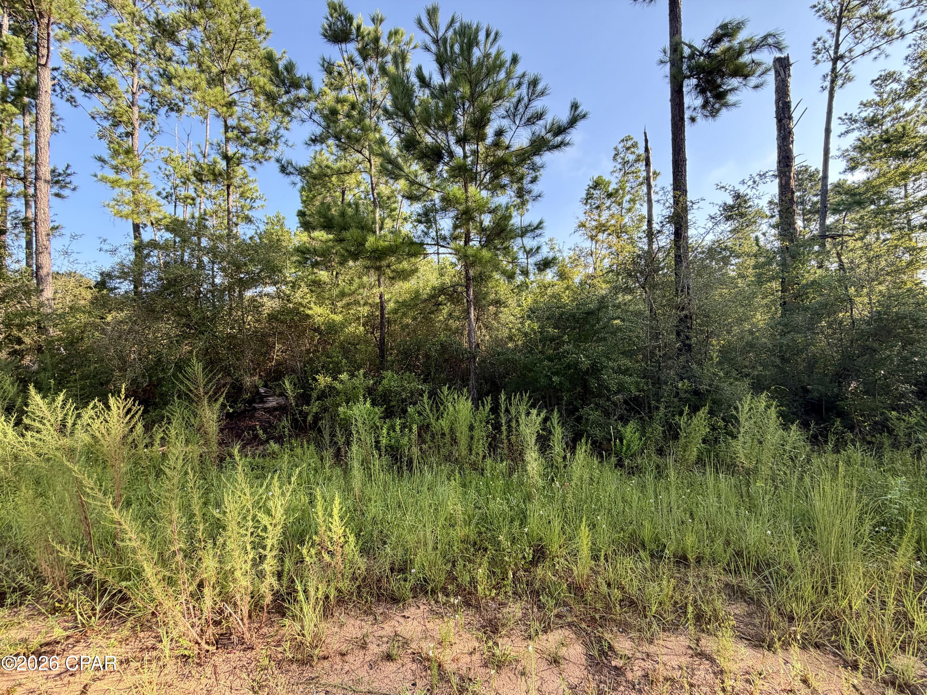 2nd image of Lot 4 Black Hills St, Alford, FL 32420 | MLS# 793497