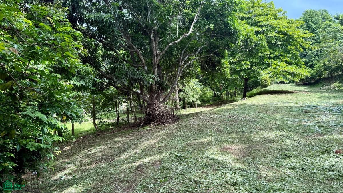 0 bed Land For Sale in Orotina, Alajuela - 1