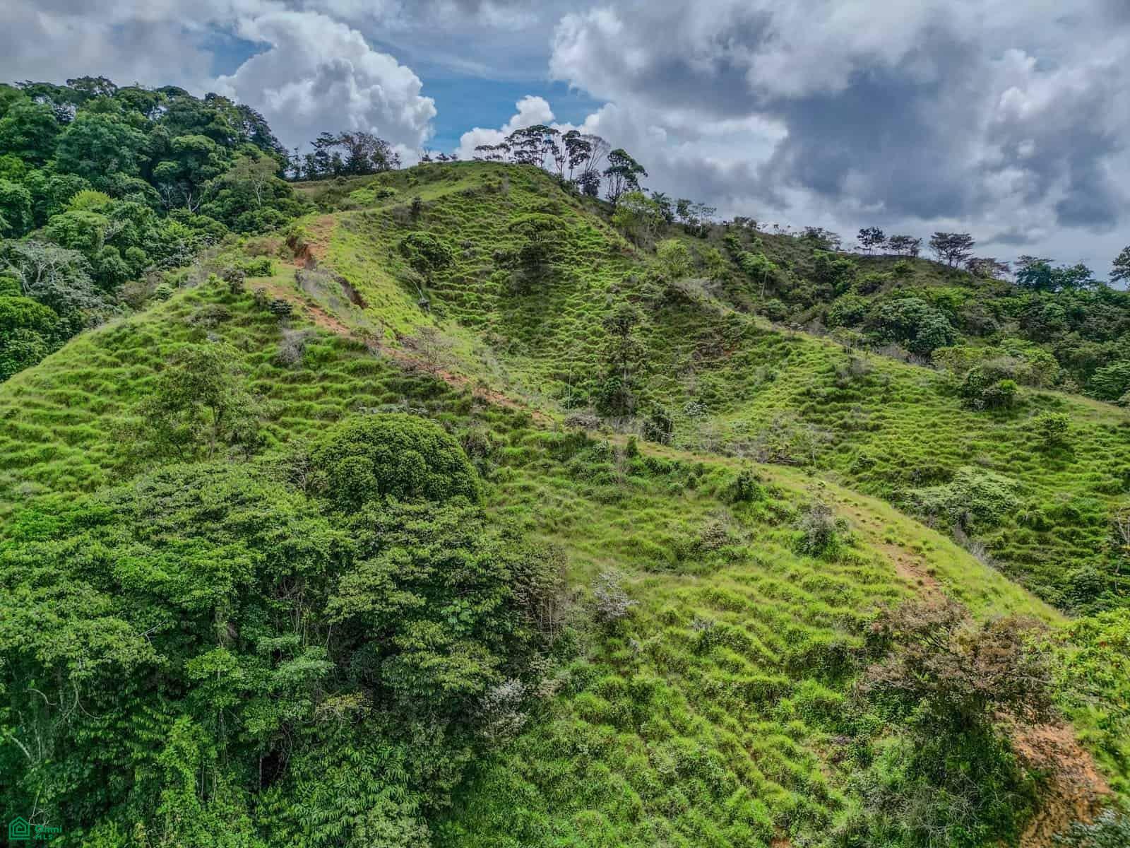 bed Land For Sale in Puntarenas, Puntarenas - 1