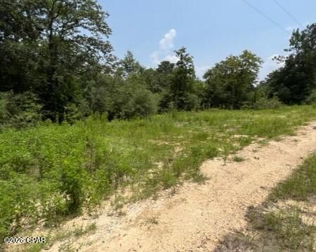 3rd image of 0 Alton Ln, Chipley, FL 32428 | MLS# 793686
