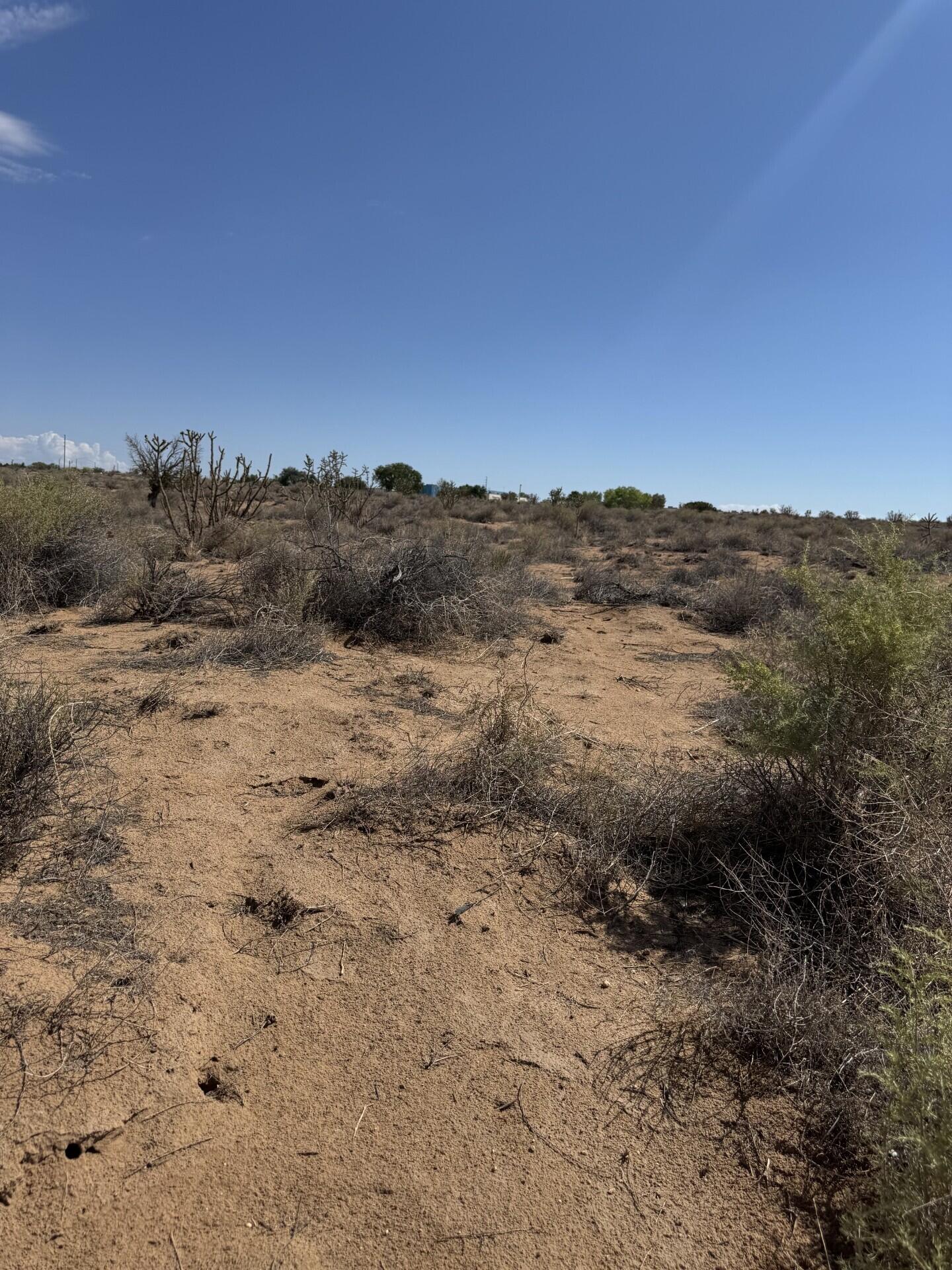 12th Avenue SE Lot 41 