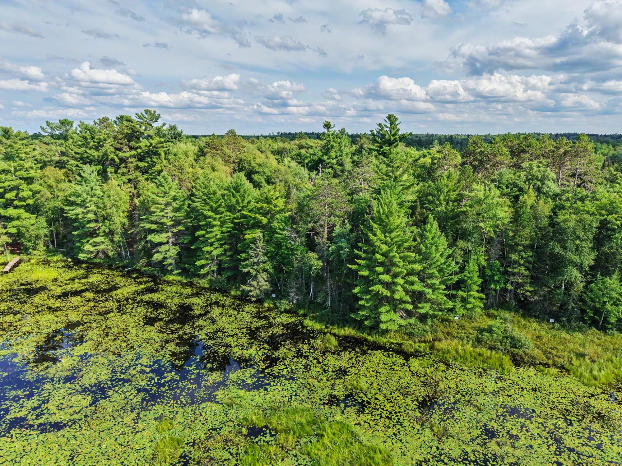 Sand Lake Property Lot On Sand Lake Rd Photo 11