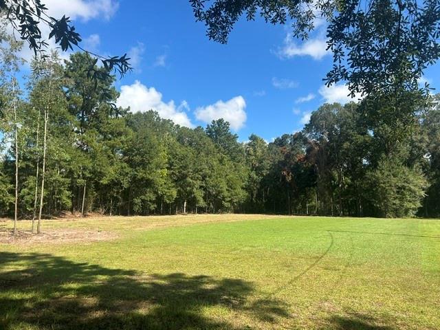 1st image of Stepp Rd, Robert, LA 70455 | MLS# 2571679