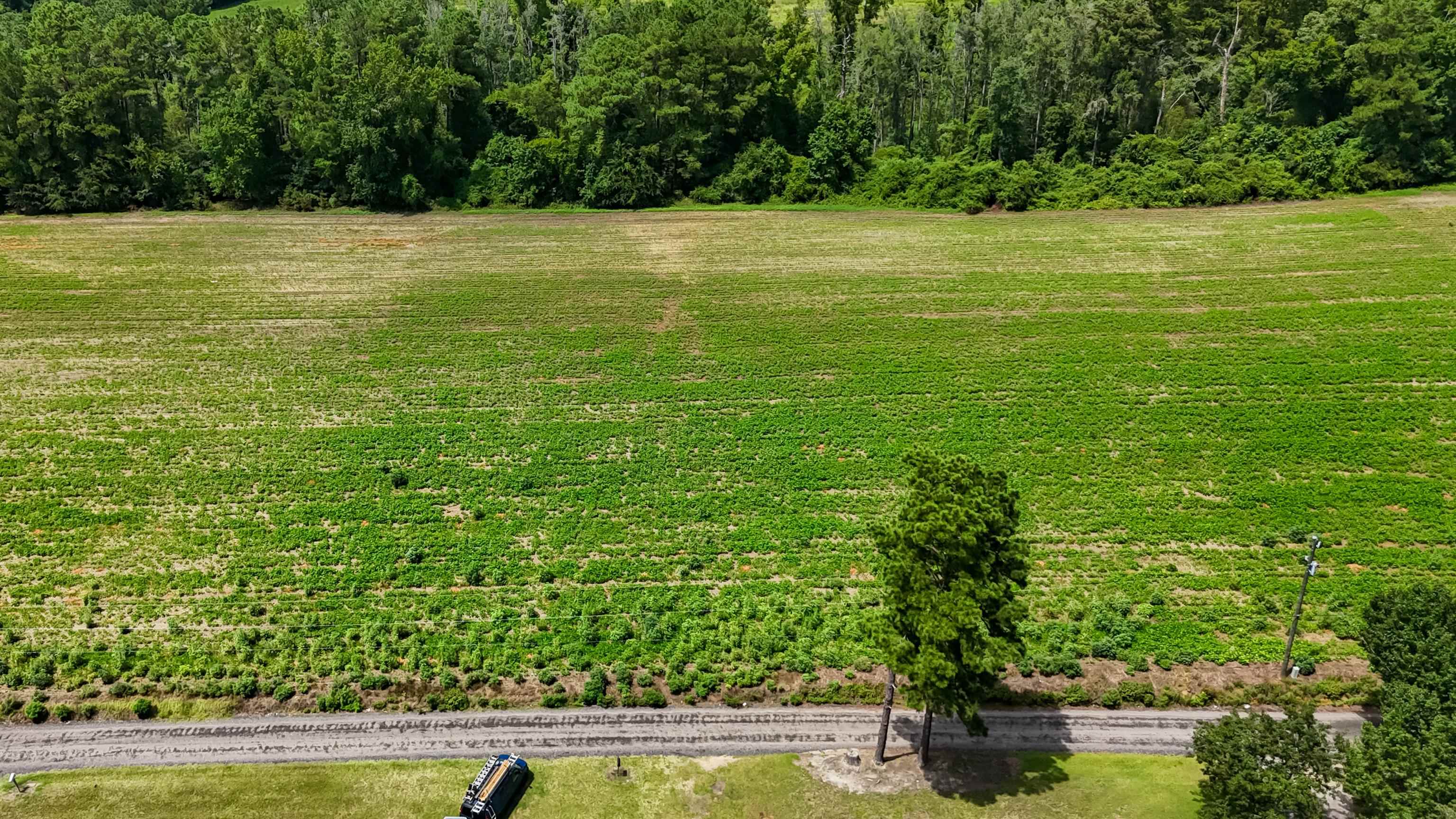 2nd image of Lot 4 Ida Ln, Conway, SC 29527 | MLS# 2619795