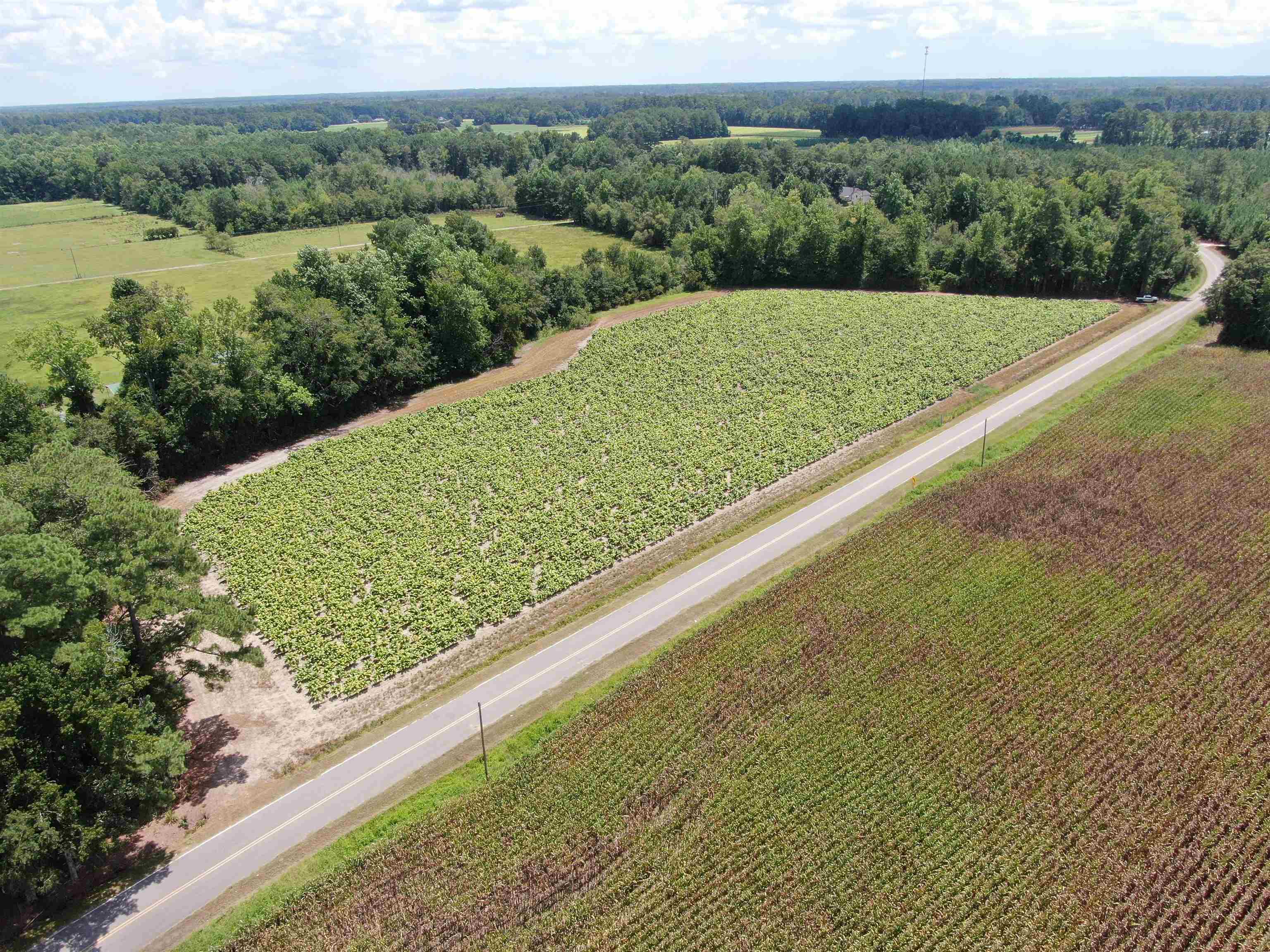 TBD Black Creek Rd.