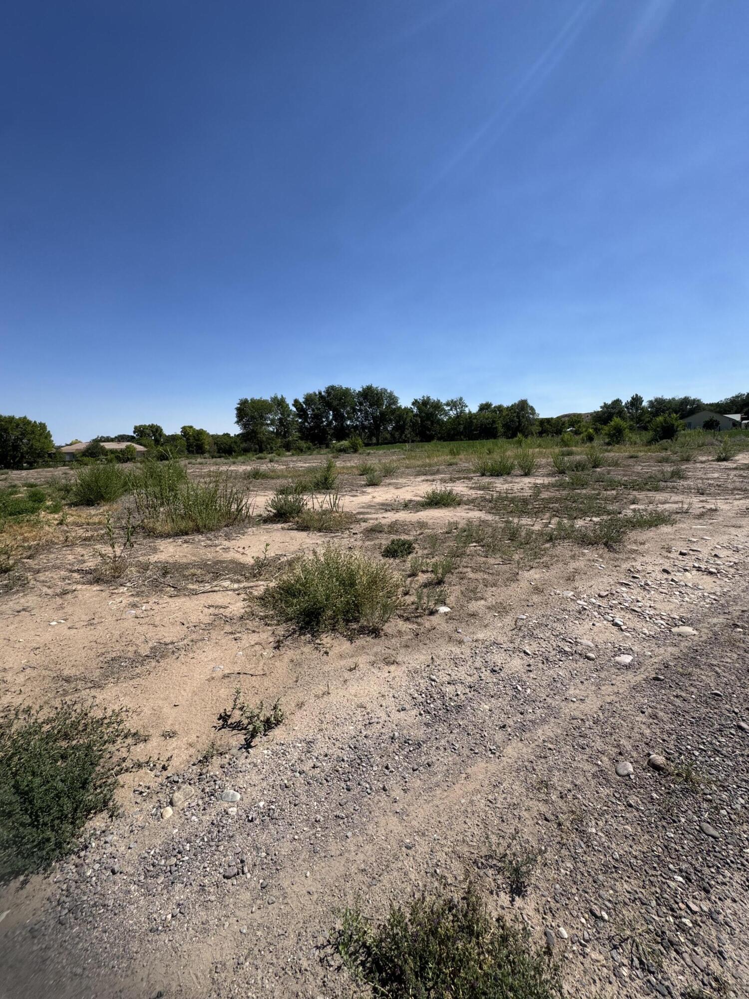 1432 Camino De Los Sanchez 