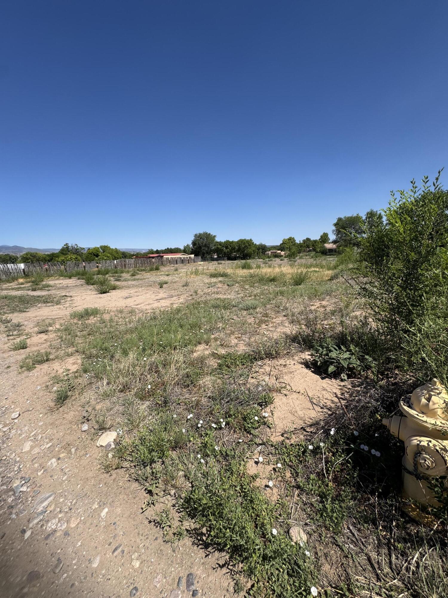 1432 Camino De Los Sanchez 