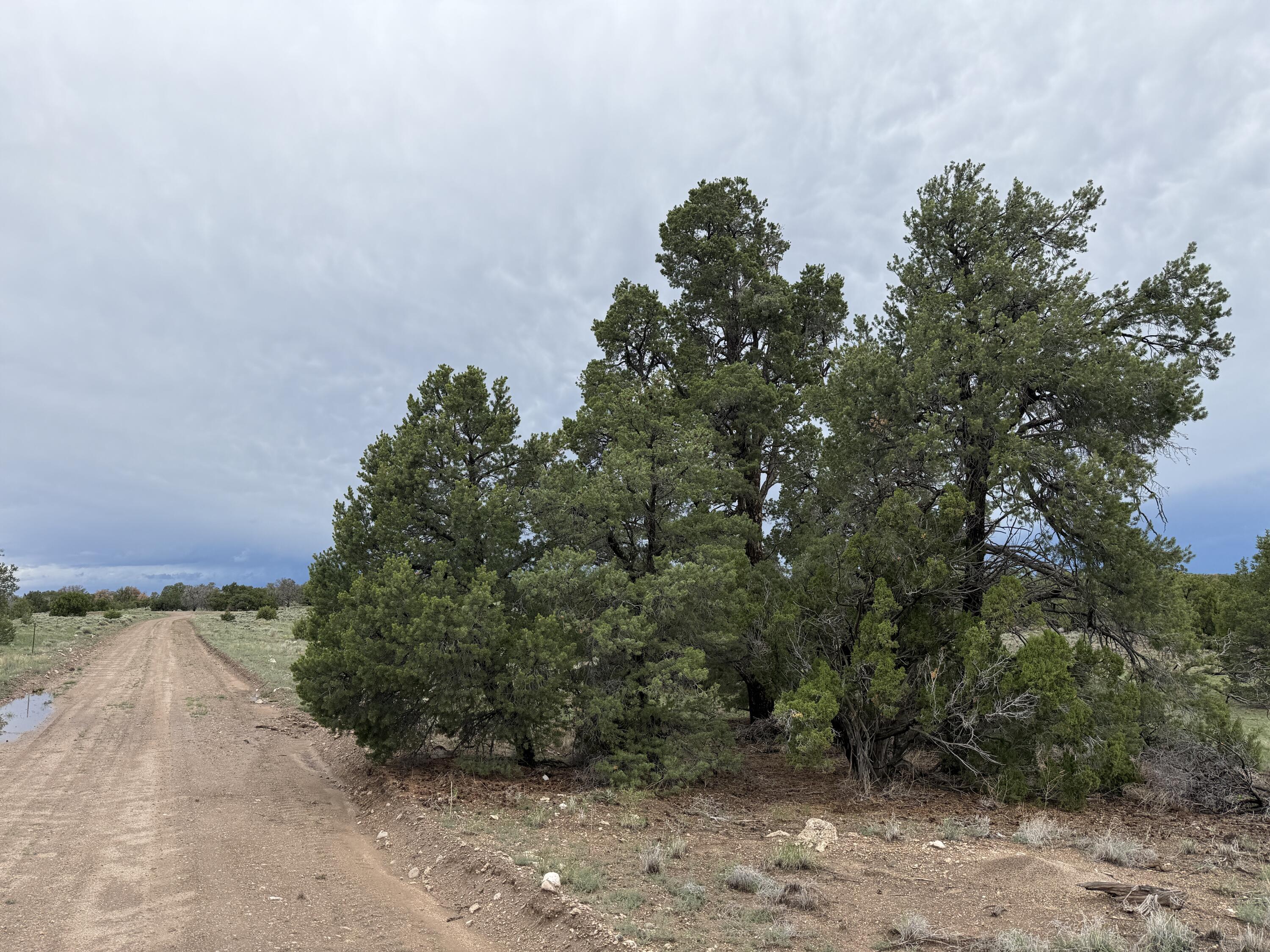 LOT 36 ARROW LN 