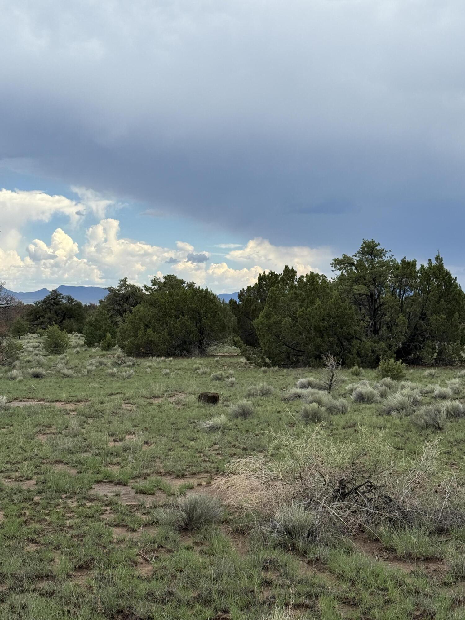 LOT 36 ARROW LN 