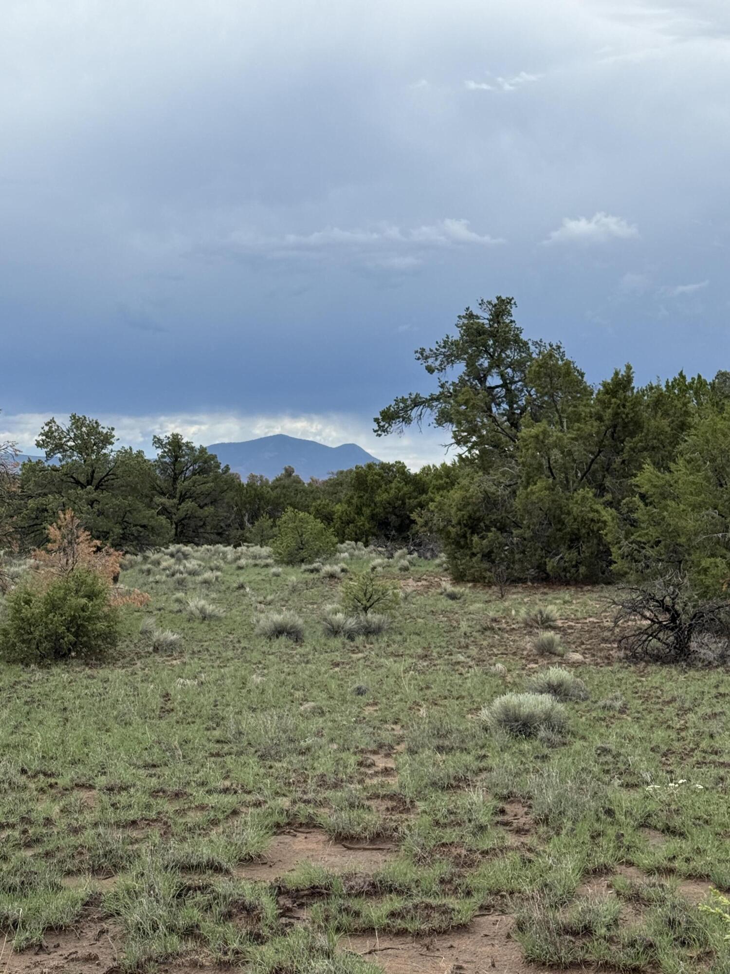 LOT 36 ARROW LN 