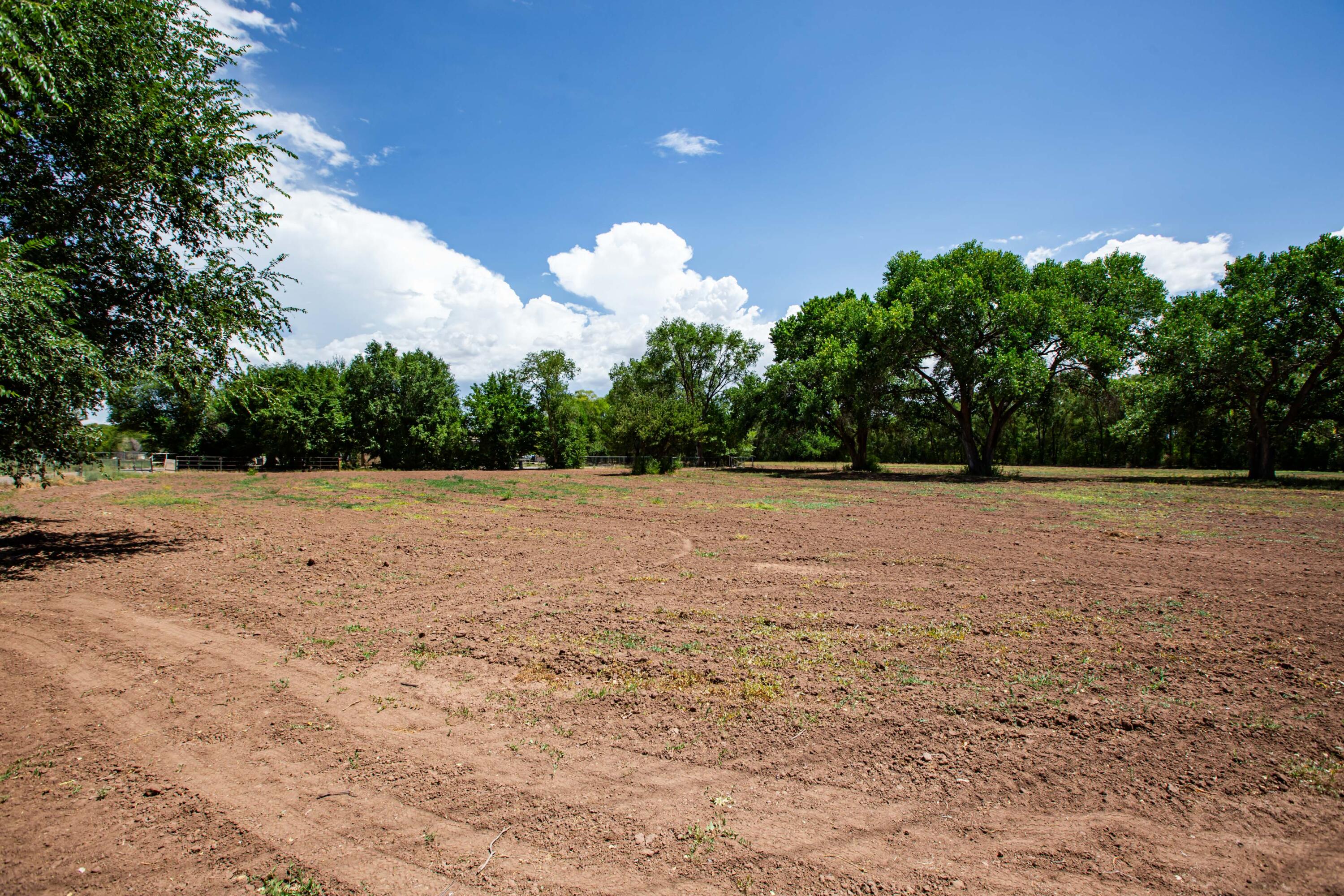 5th image of 2226 Paul Rd Sw, Albuquerque, NM 87105 | MLS# 1108972