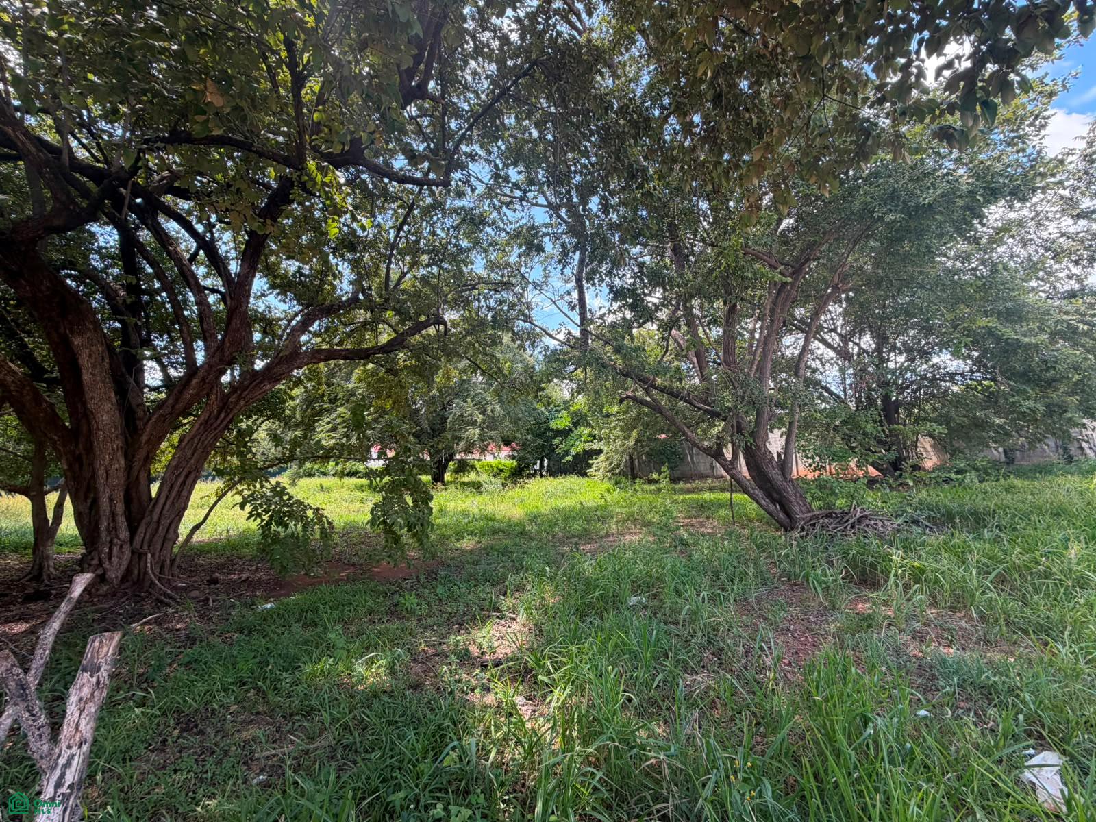  bed Land For Sale in Santa Cruz, Guanacaste - 1