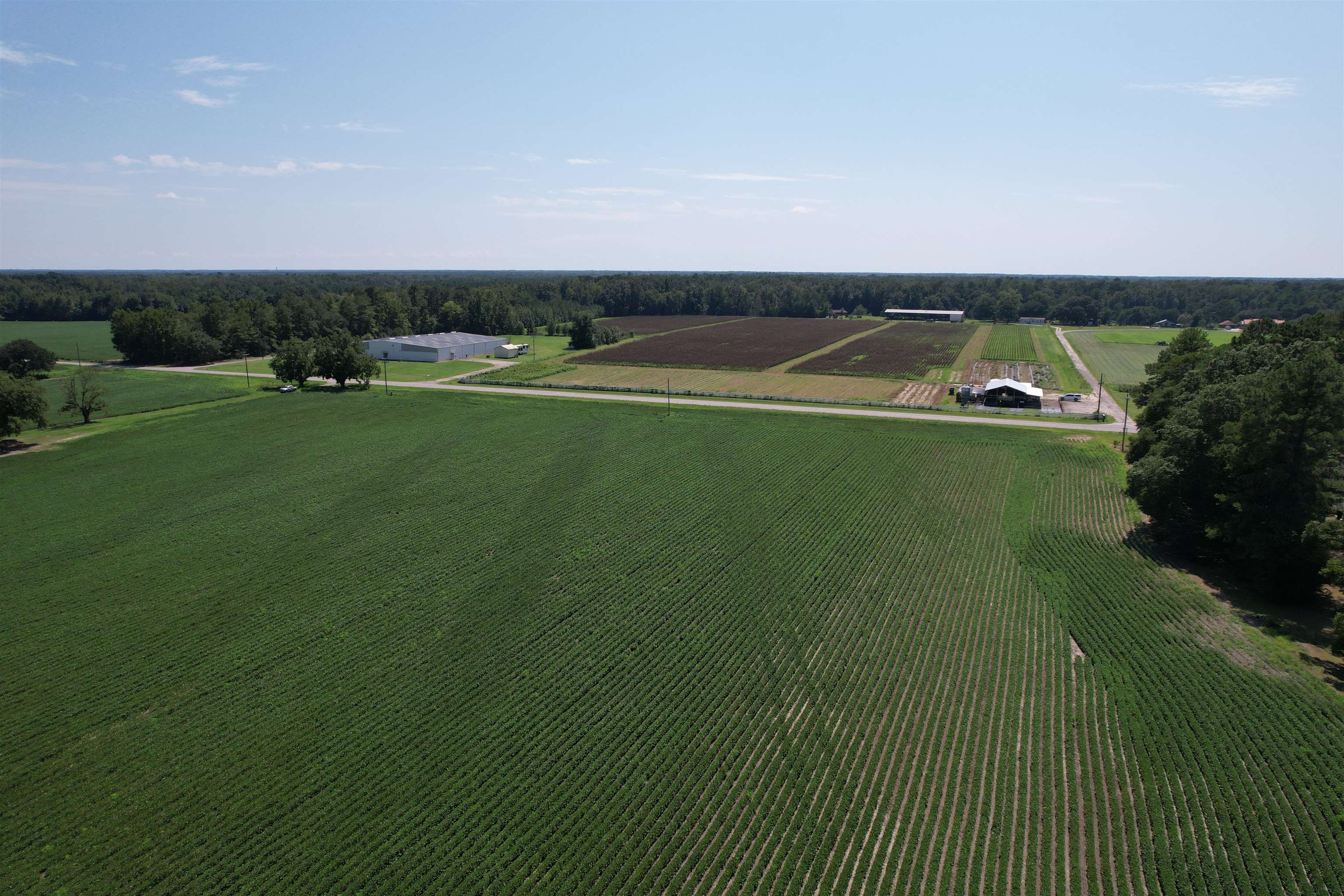 2nd image of Lot 4   Sumter Hwy, Kingstree, SC 29556 | MLS# 2620047