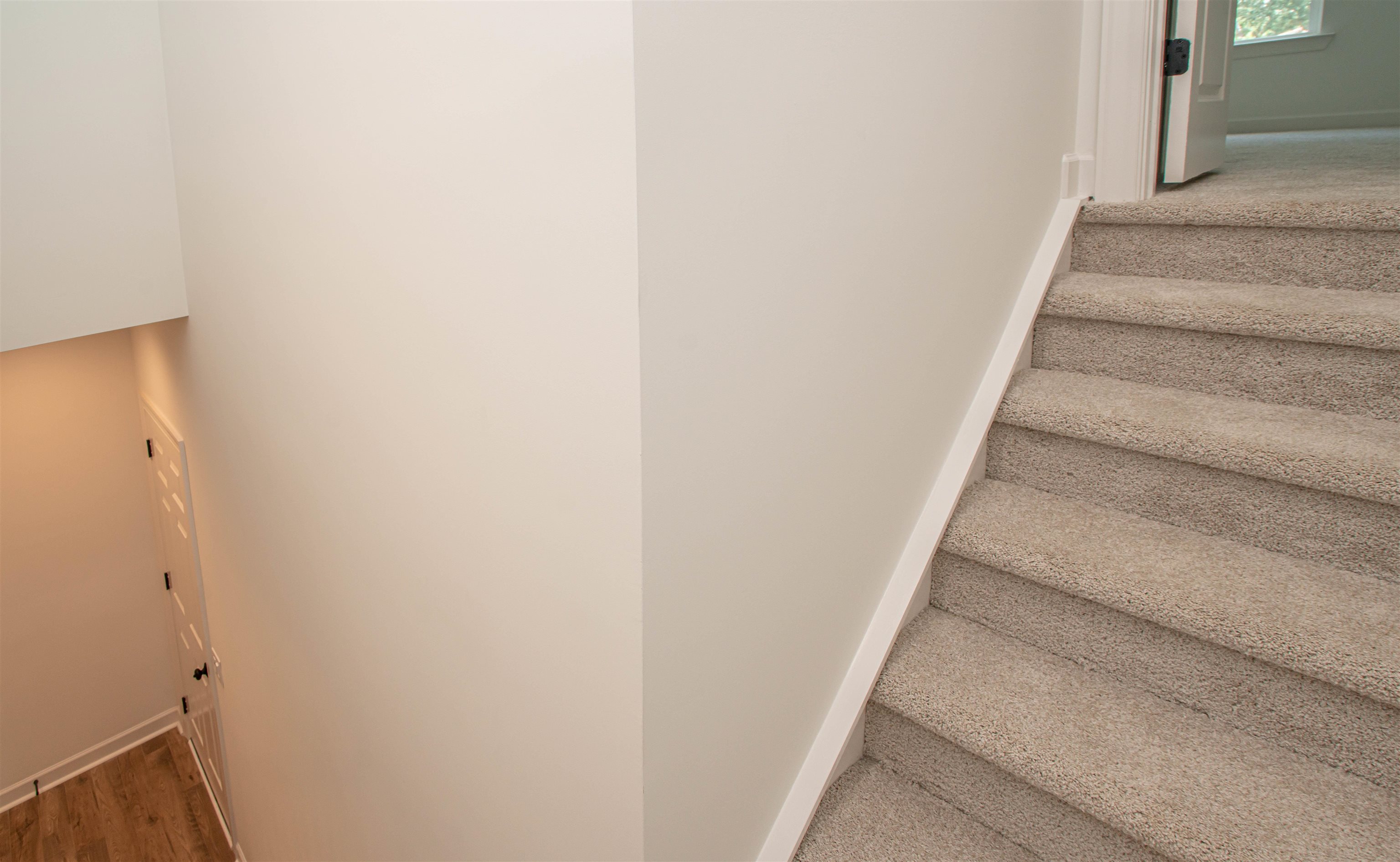2620090 | Photo 27