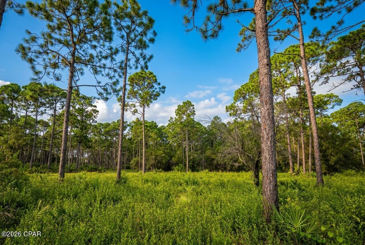 1st image of 109 Via Italia, Panama City Beach, FL 32407 | MLS# 794074