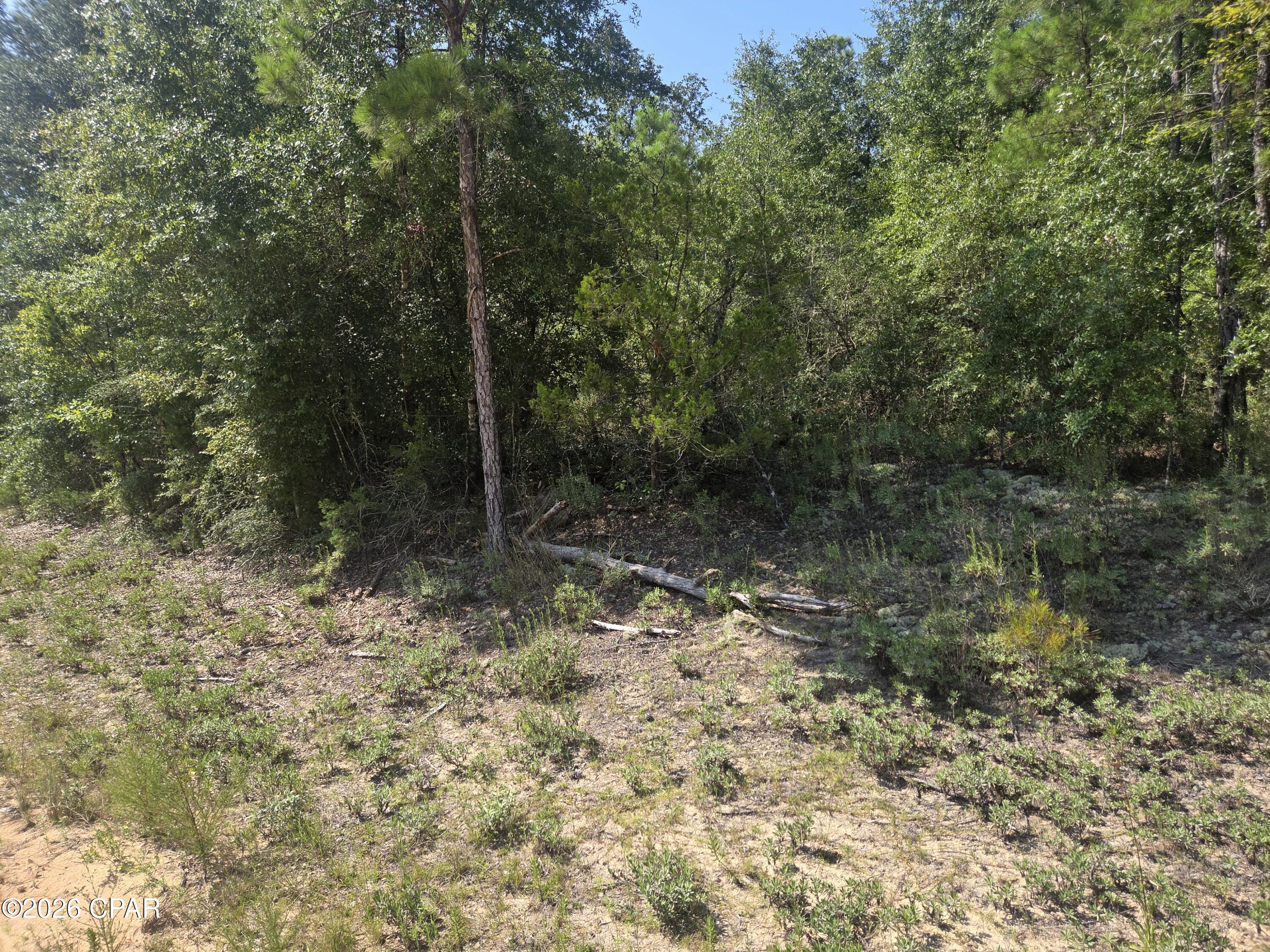 Photo 1 of Land for sale at Lot 19 Dorcas Rd, Marianna, FL 32448 | MLS# 794237 | Listing updated on 2026-09-18