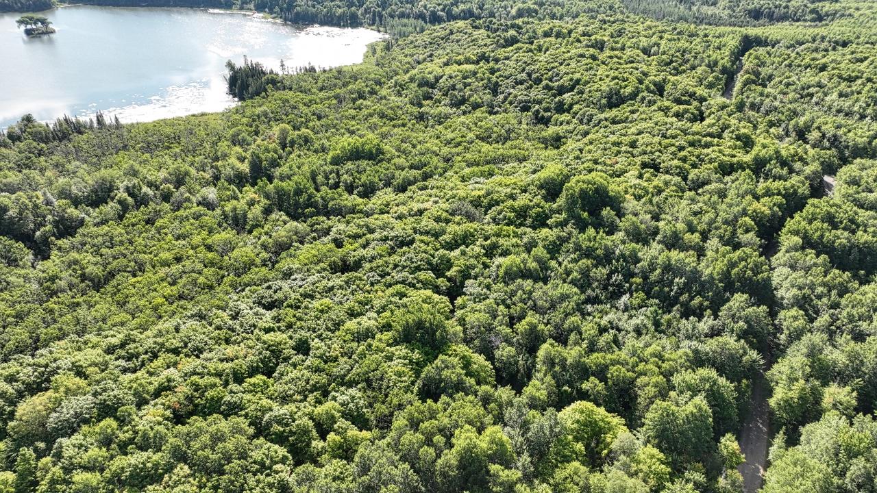 Twin Island Lake Property Lot 29 Frontier Rd Photo 10