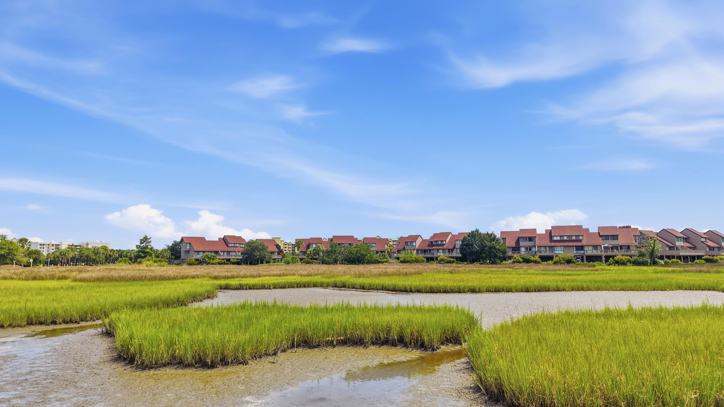 12 Spartina Ct. 