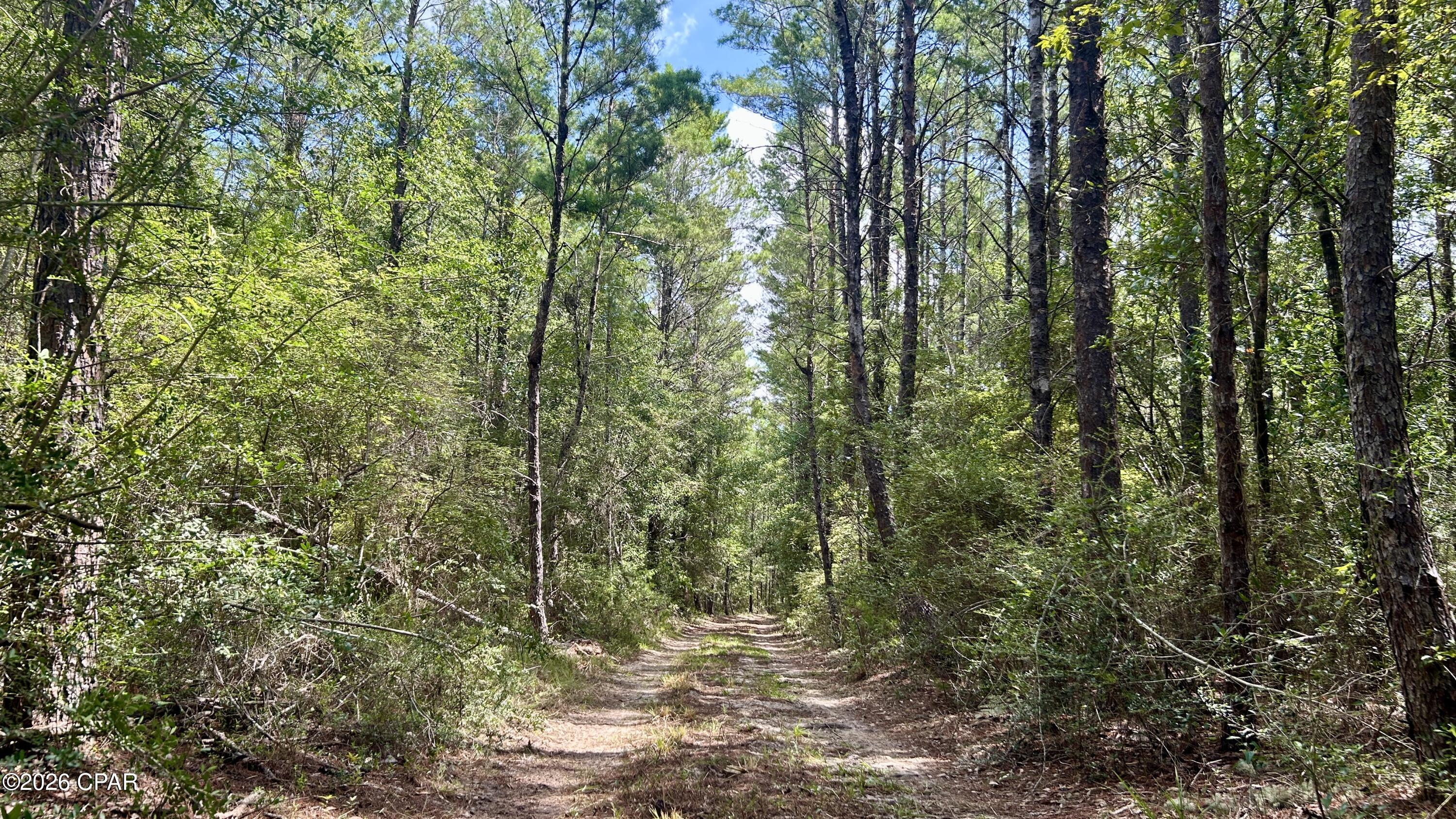 Photo 3 of Land for sale at A Trawick Crk Rd, Holt, FL 32564 | MLS# 794374 | Listing updated on 2026-08-20