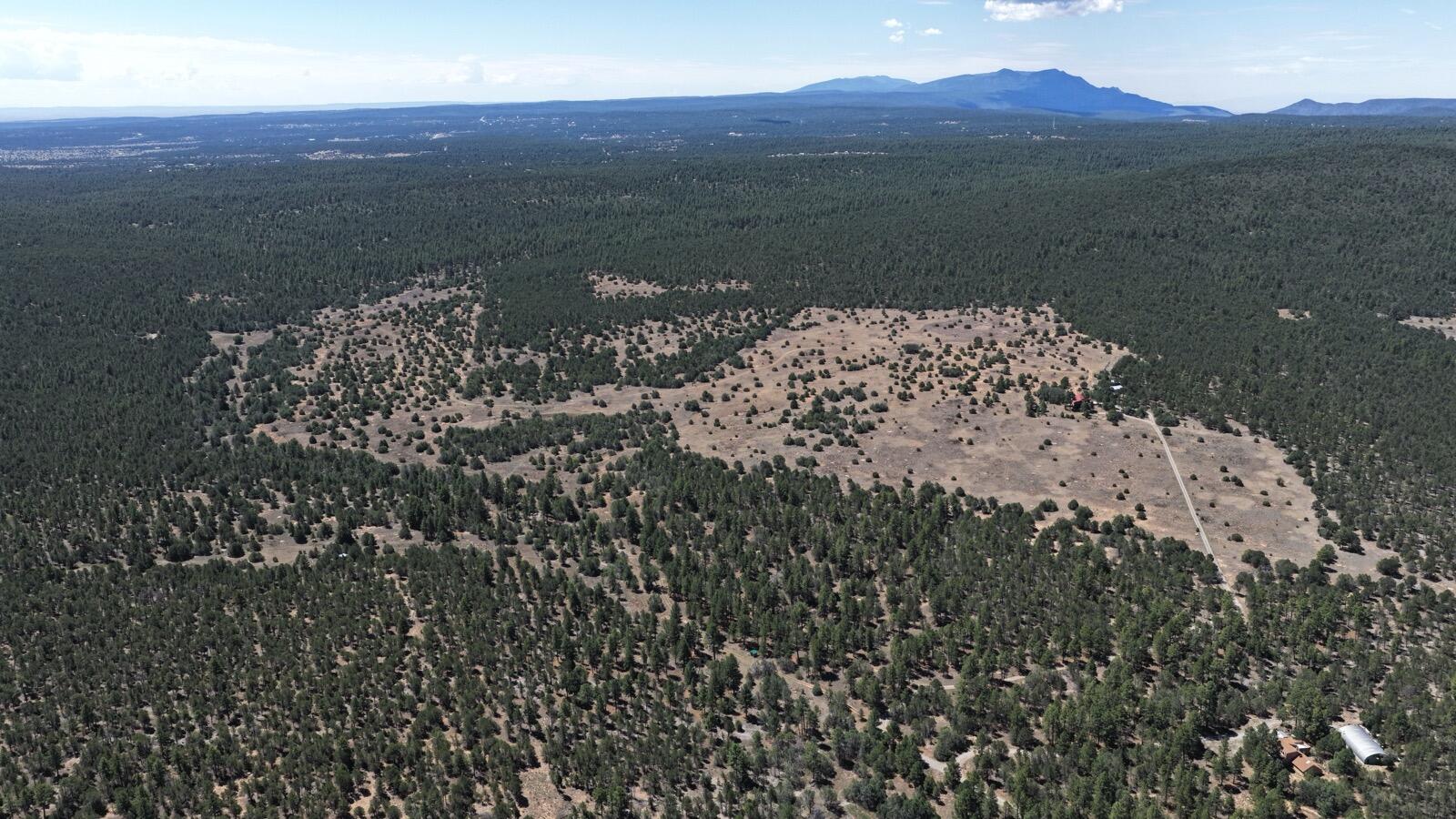 100th image of 434 Juan Tomas Rd, Tijeras, NM 87059 | MLS# 1109546