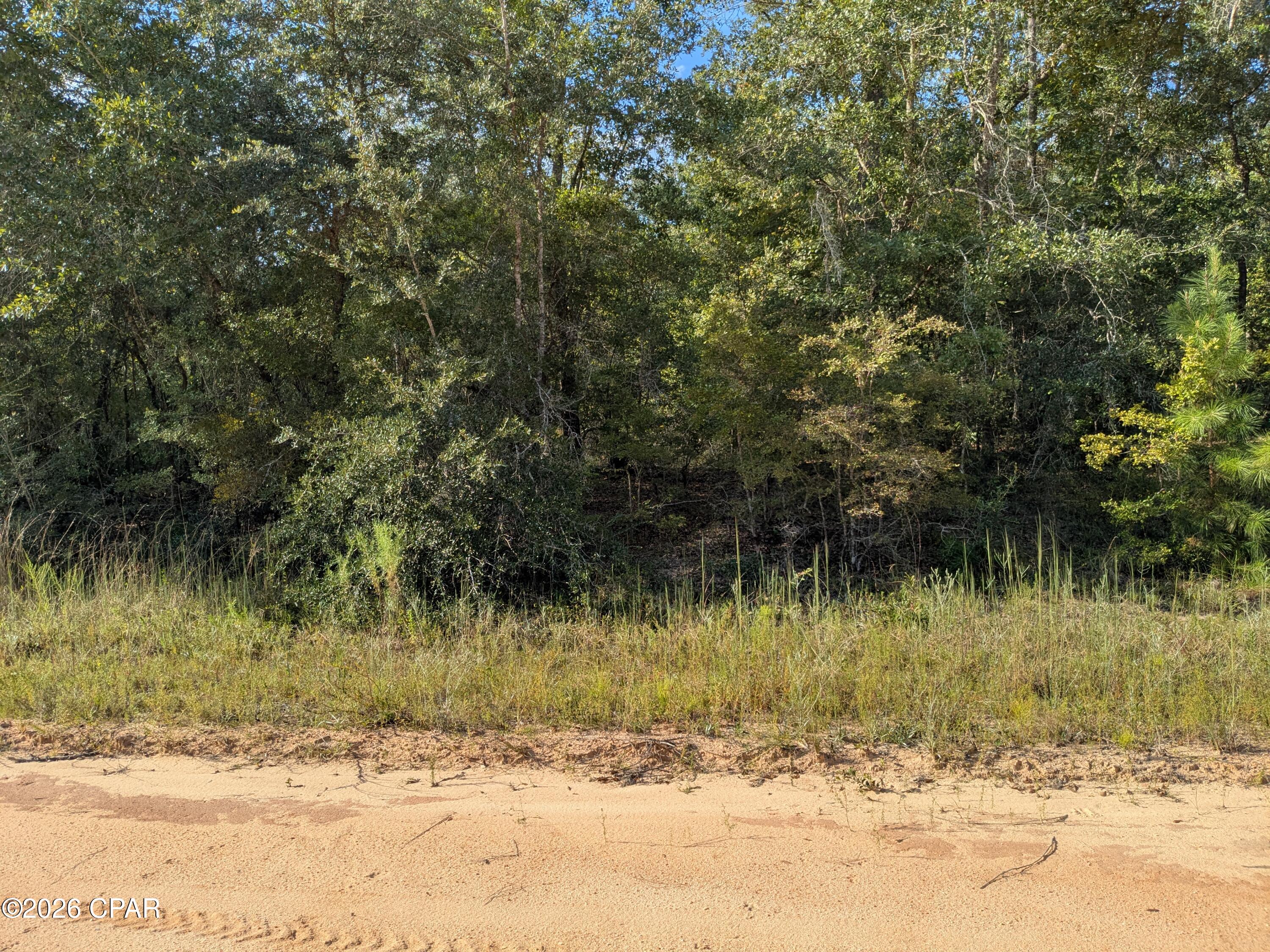 1st image of 0 Hillside Dr, Marianna, FL 32448 | MLS# 794454
