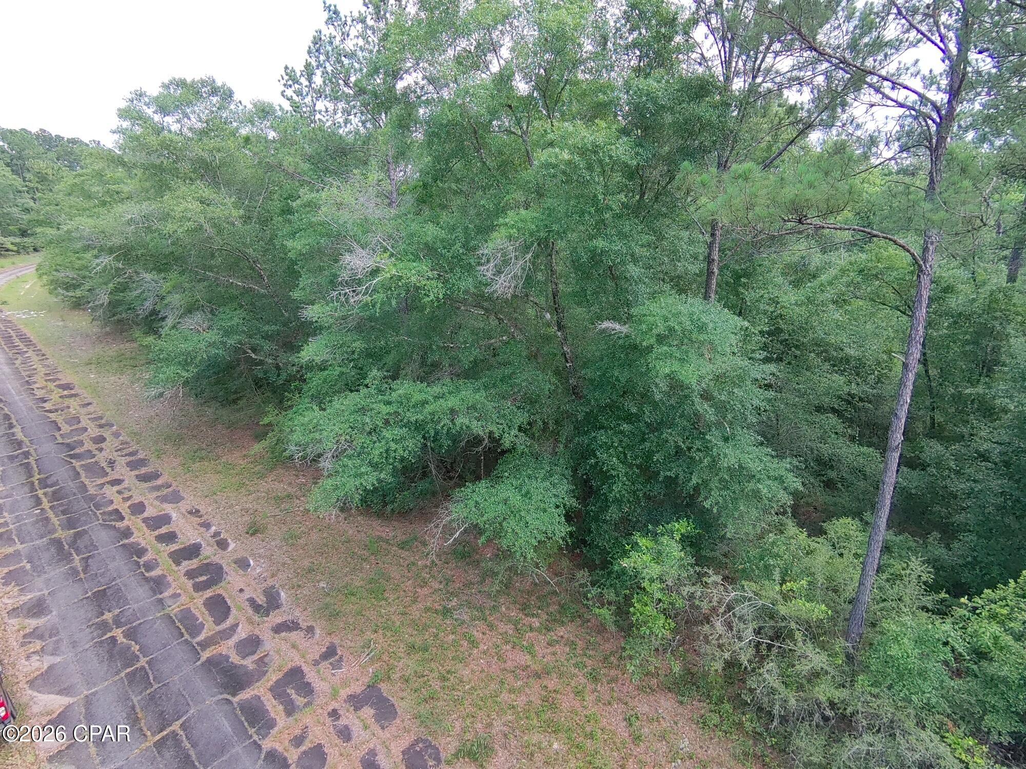 1st image of Lot 38 Birchwood Dr, Chipley, FL 32428 | MLS# 794582